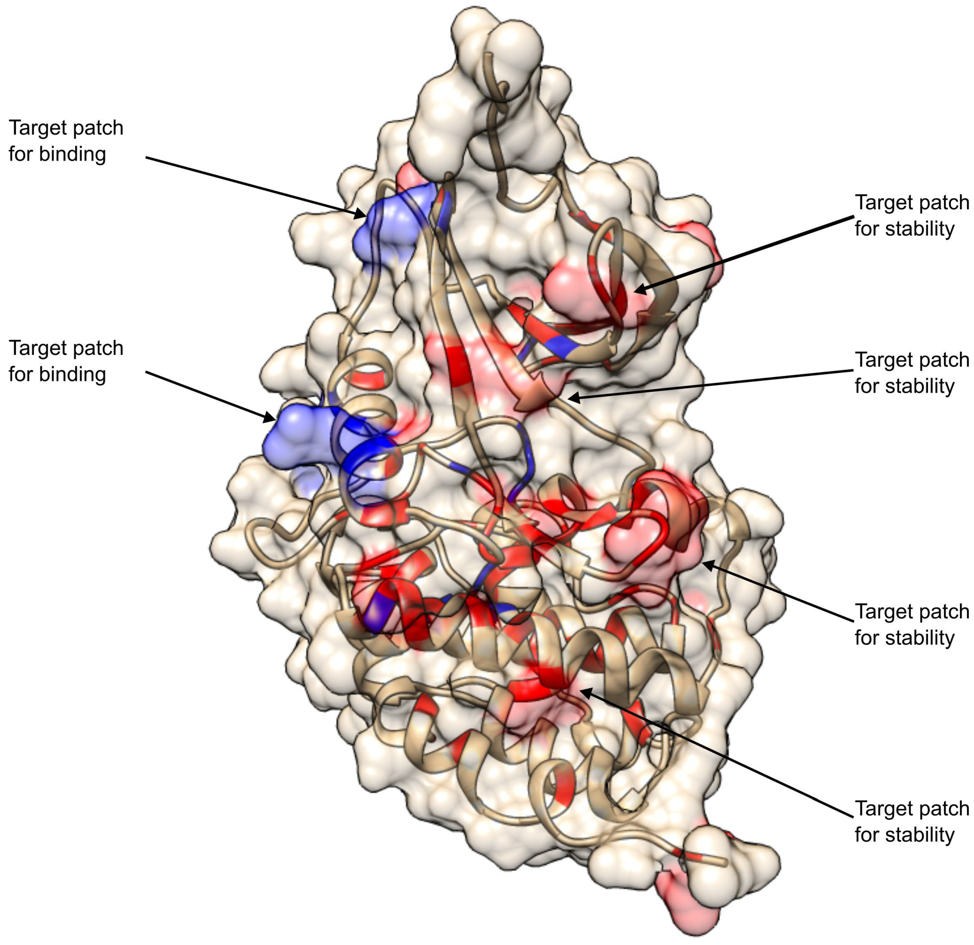 Preprints 172664 g011