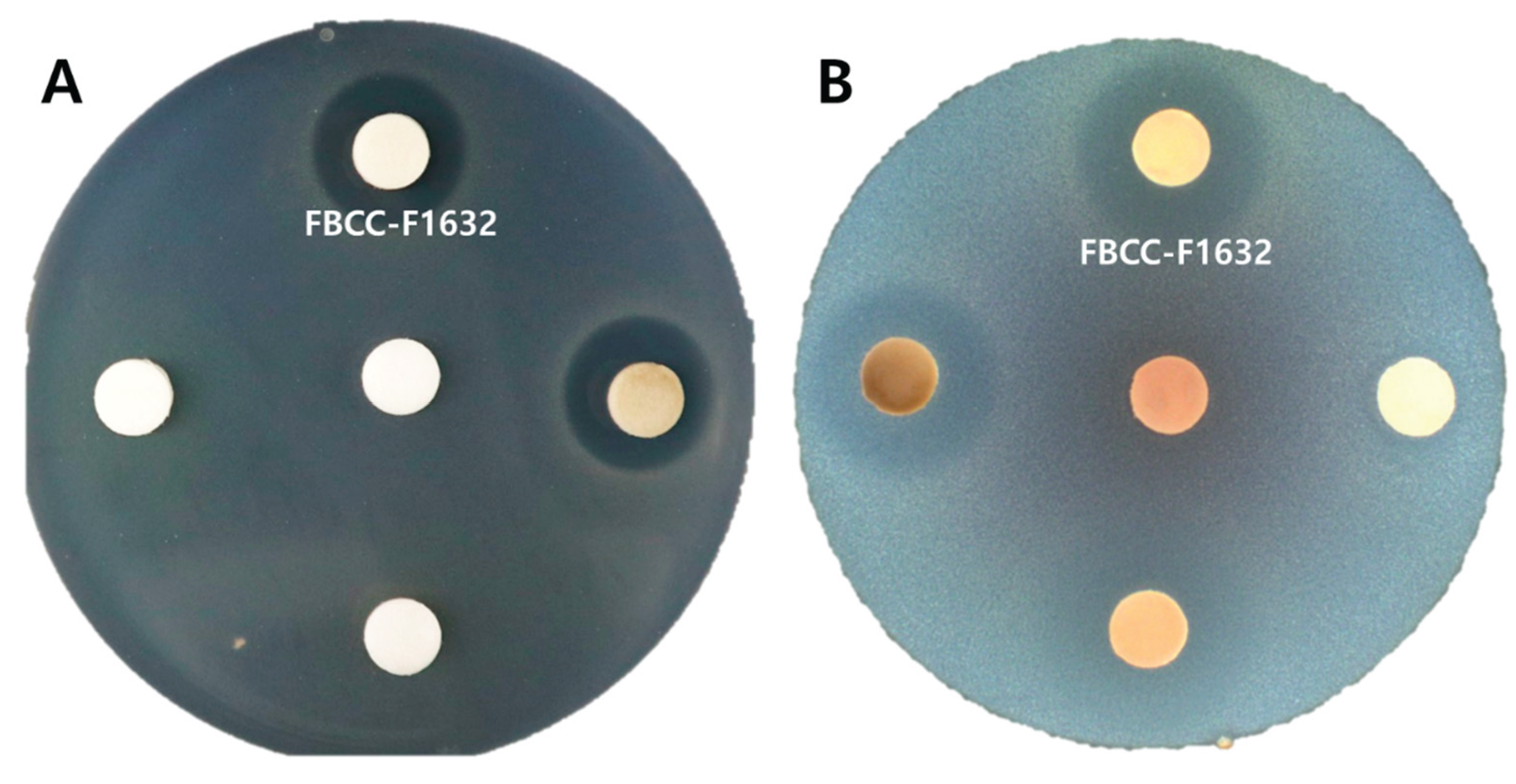 Preprints 177091 g004