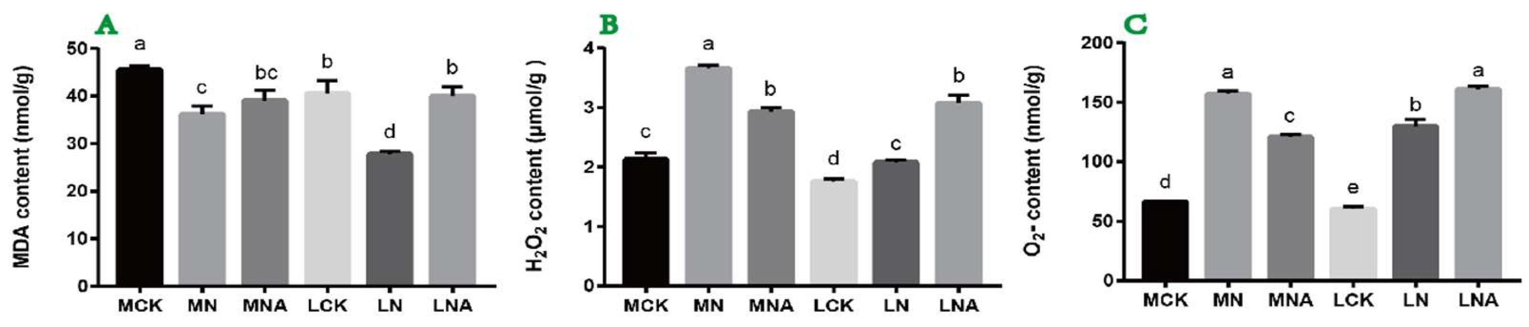 Preprints 155182 g001