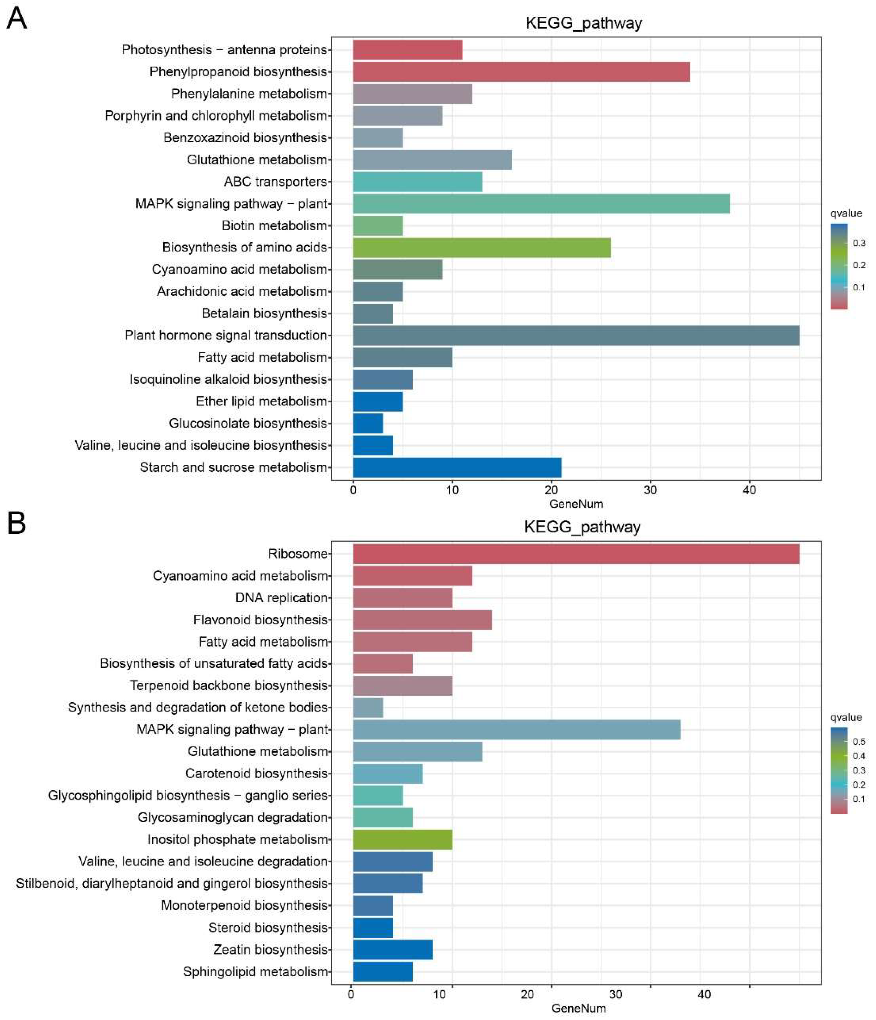 Preprints 155182 g005