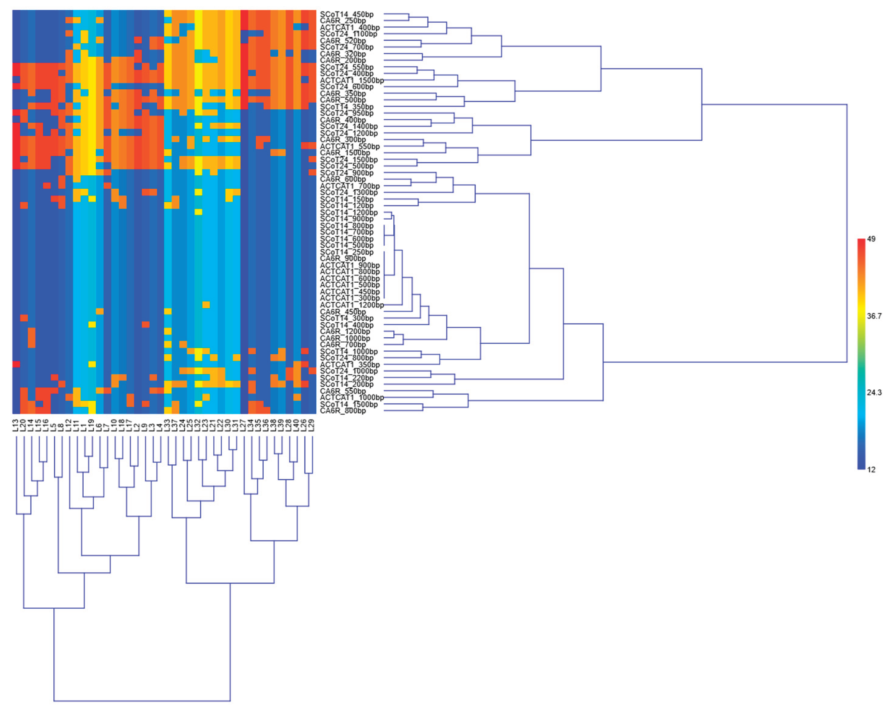 Preprints 194495 g005