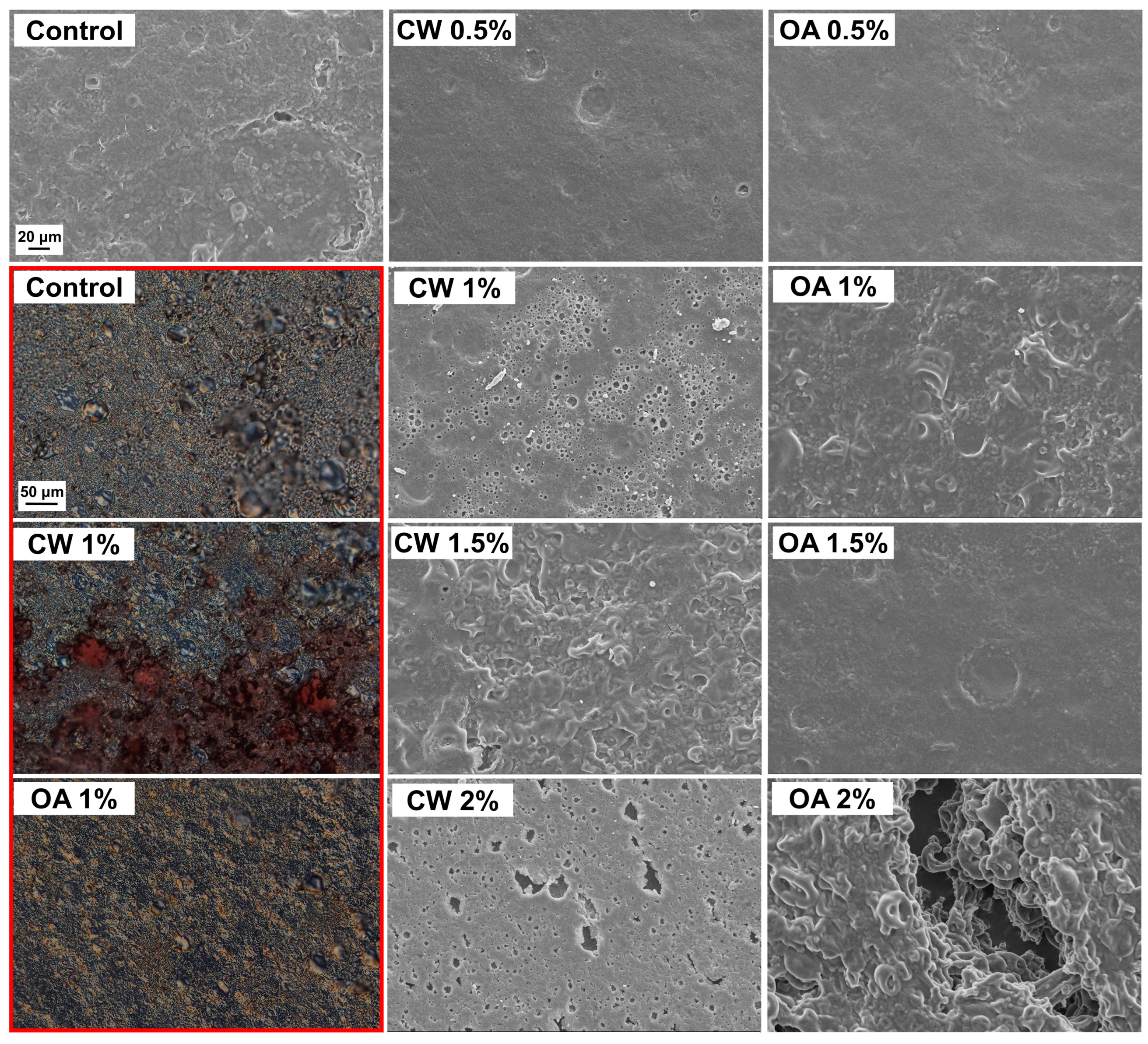 Preprints 139831 g003