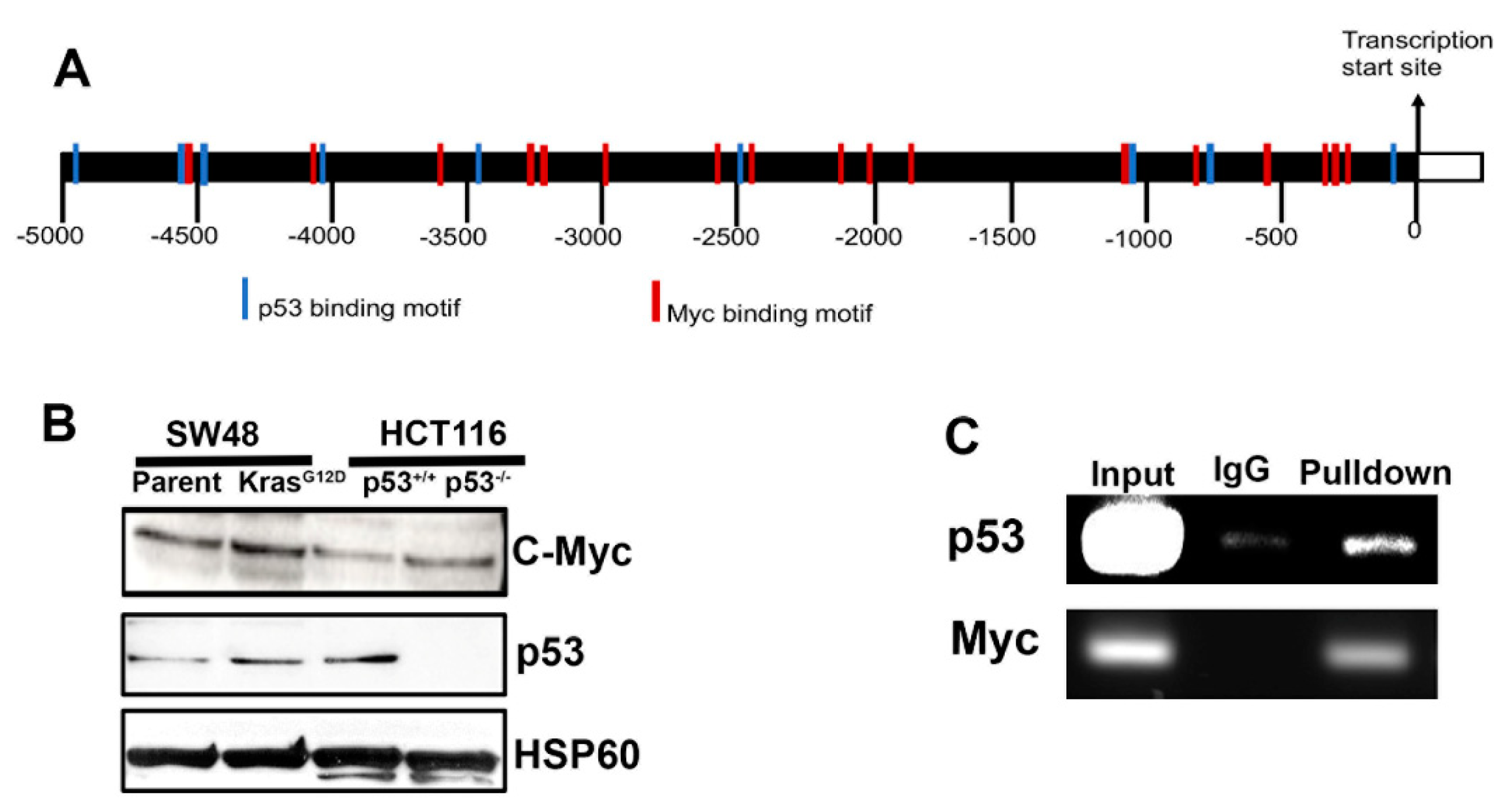 Preprints 102770 g002