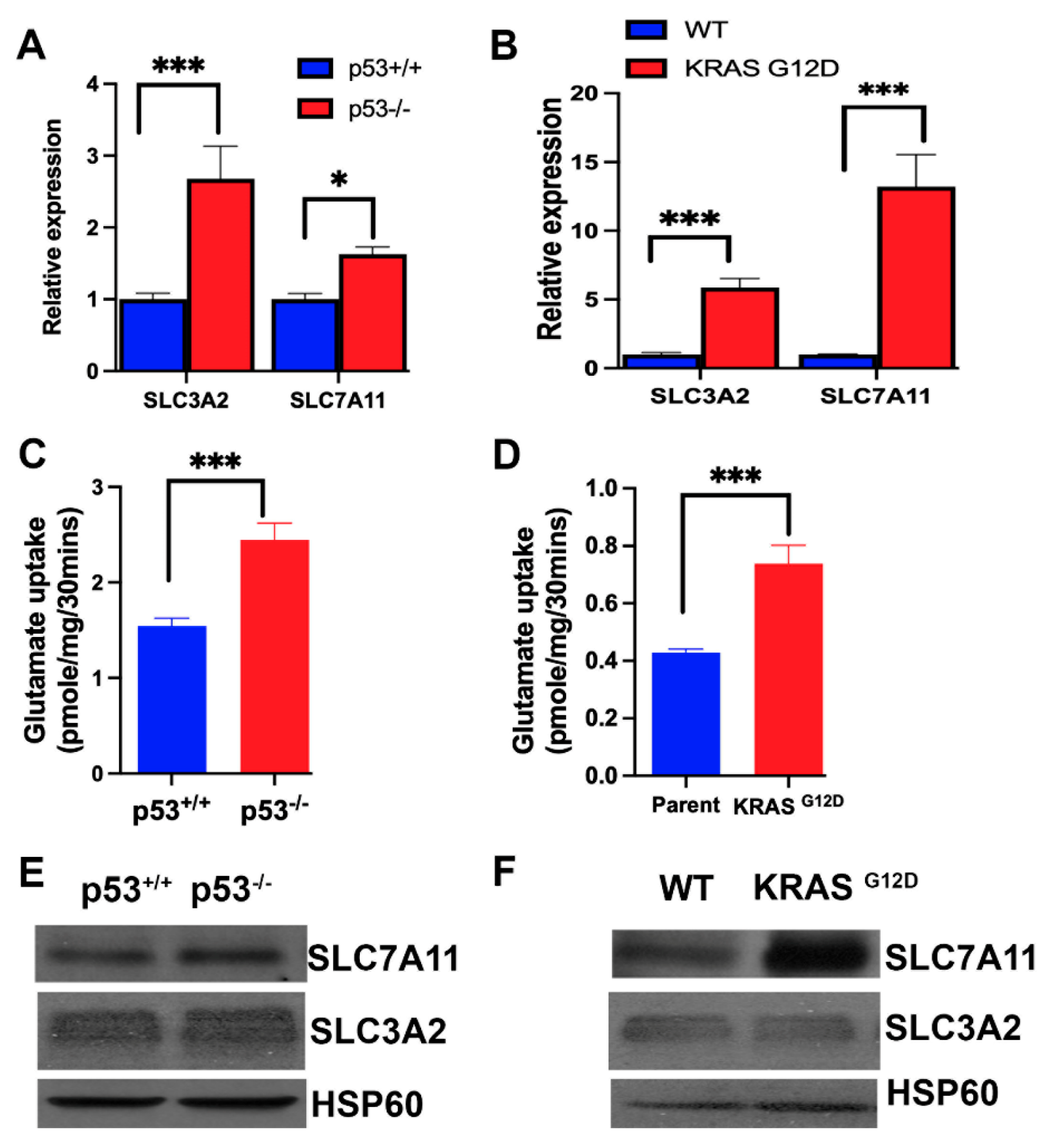 Preprints 102770 g004