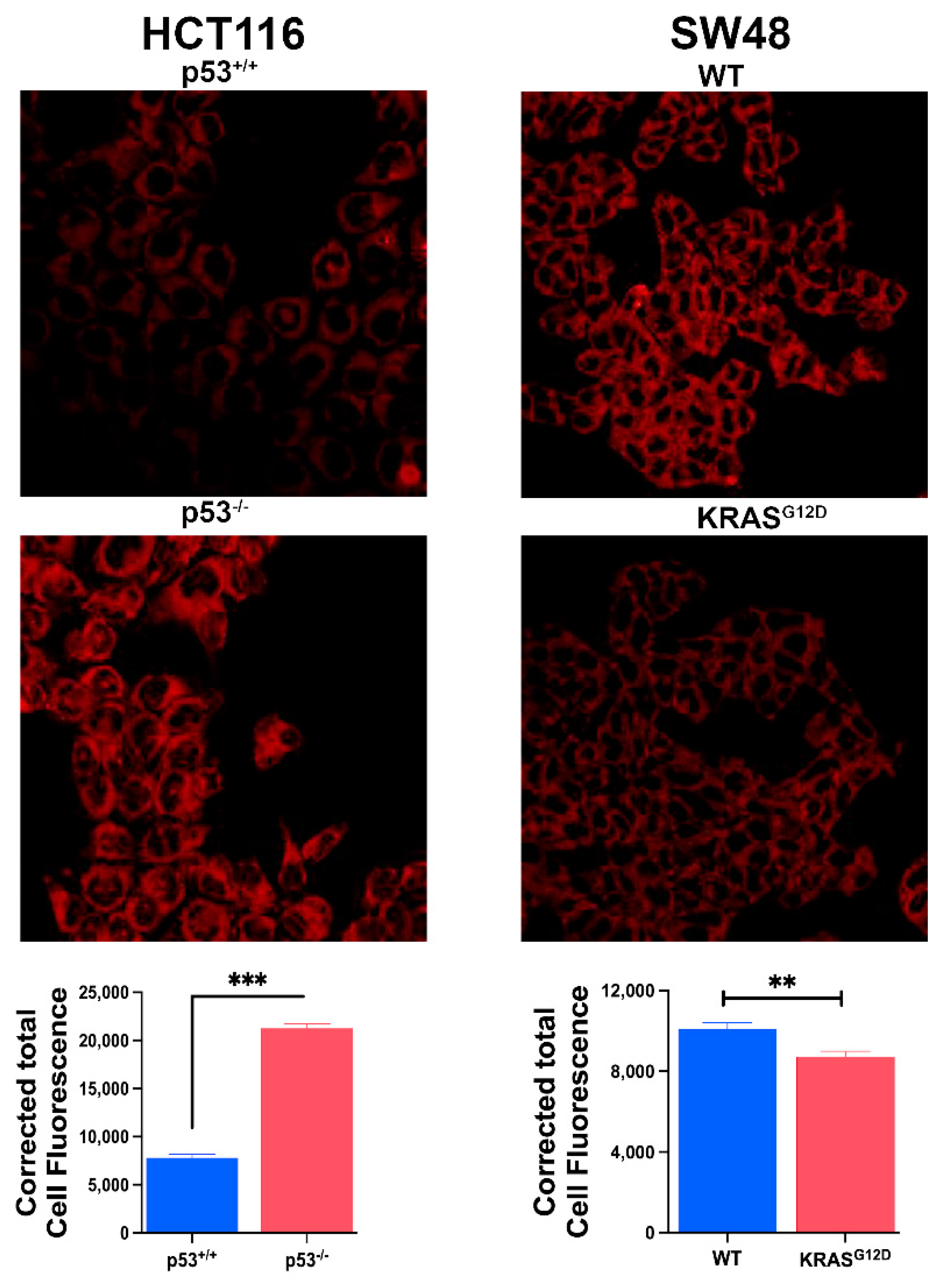 Preprints 102770 g006
