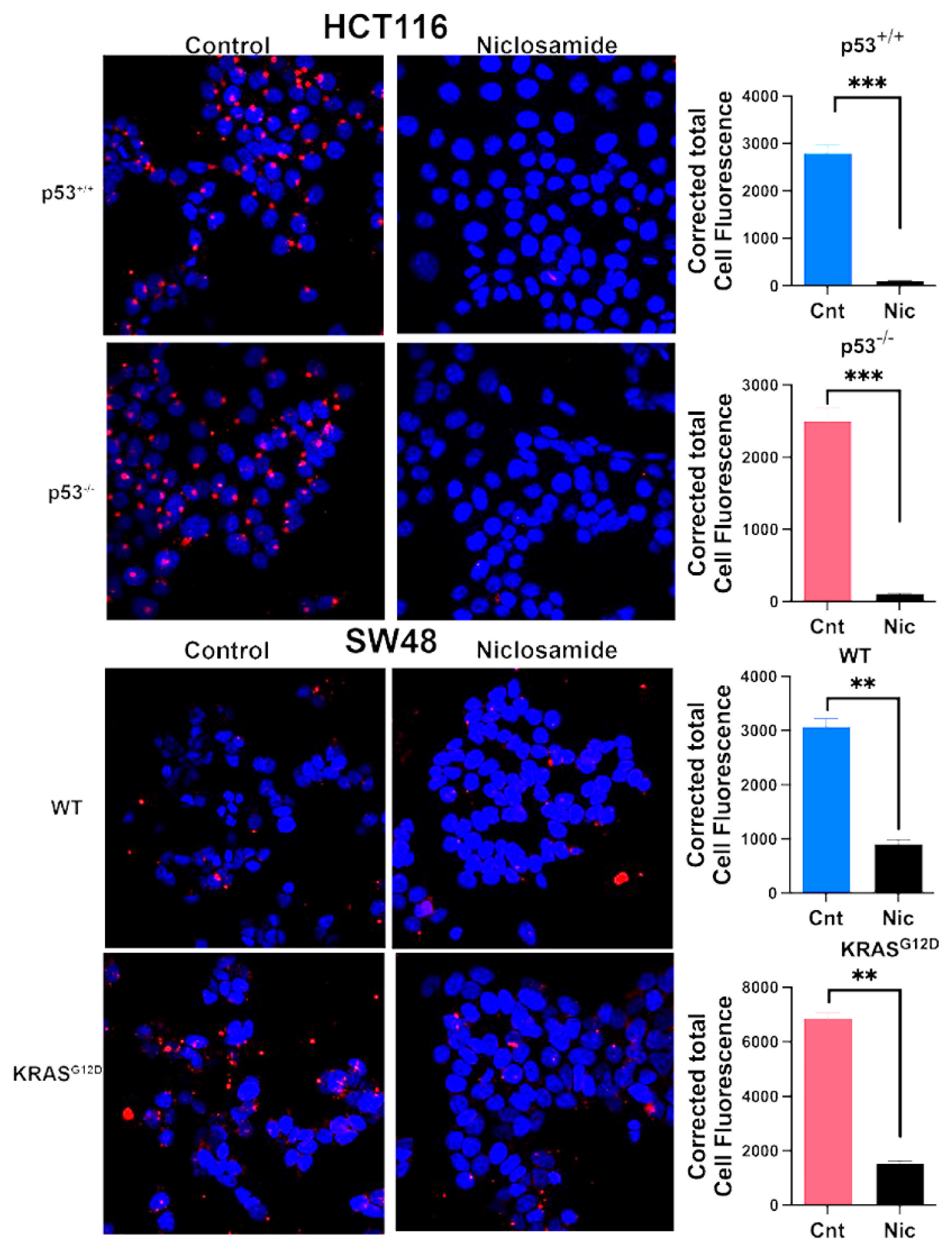 Preprints 102770 g009