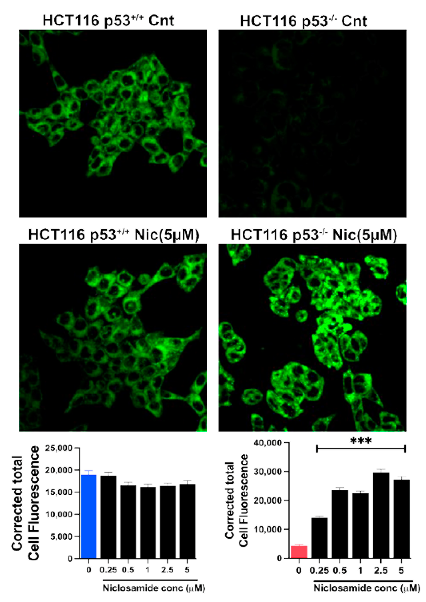 Preprints 102770 g010