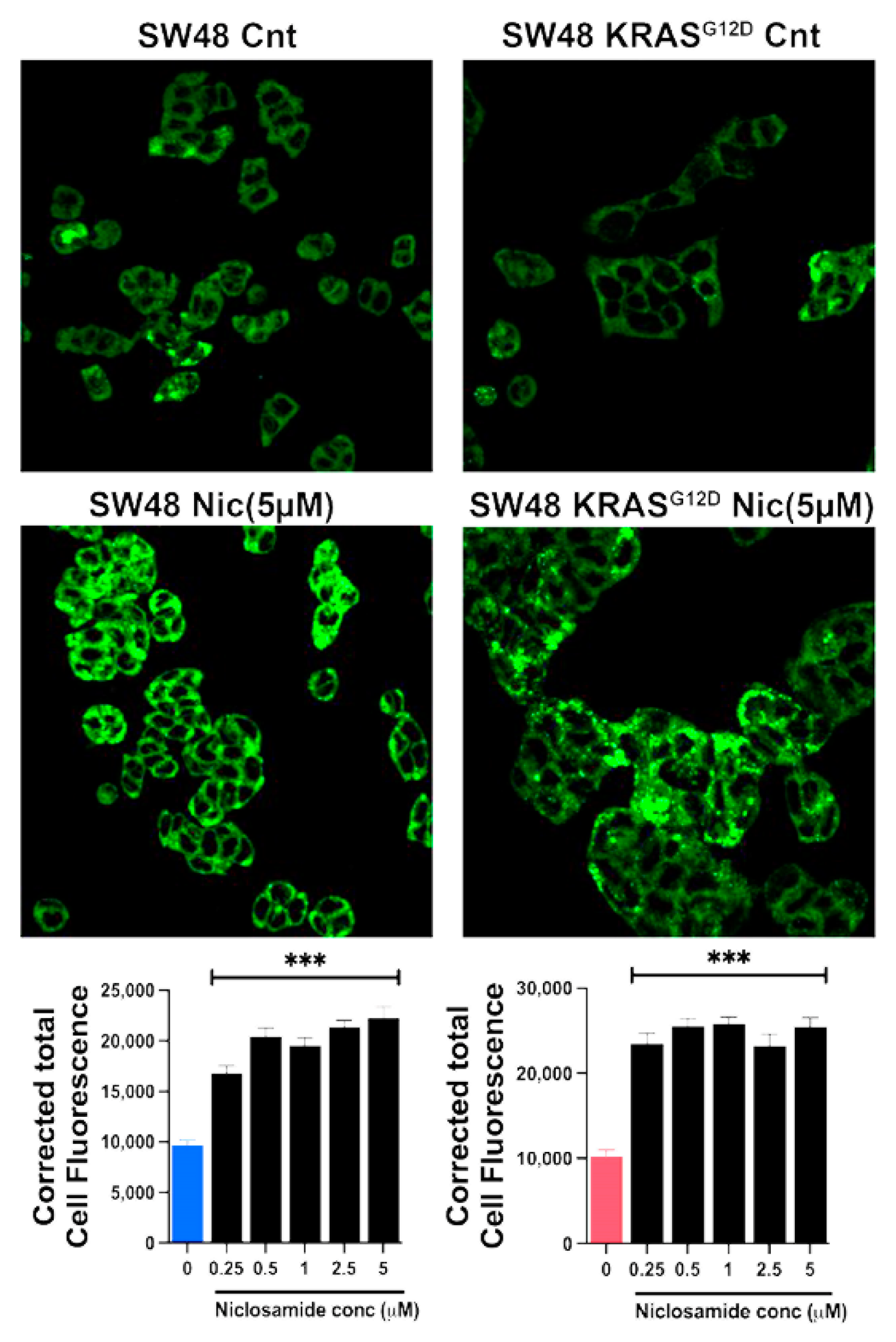 Preprints 102770 g011