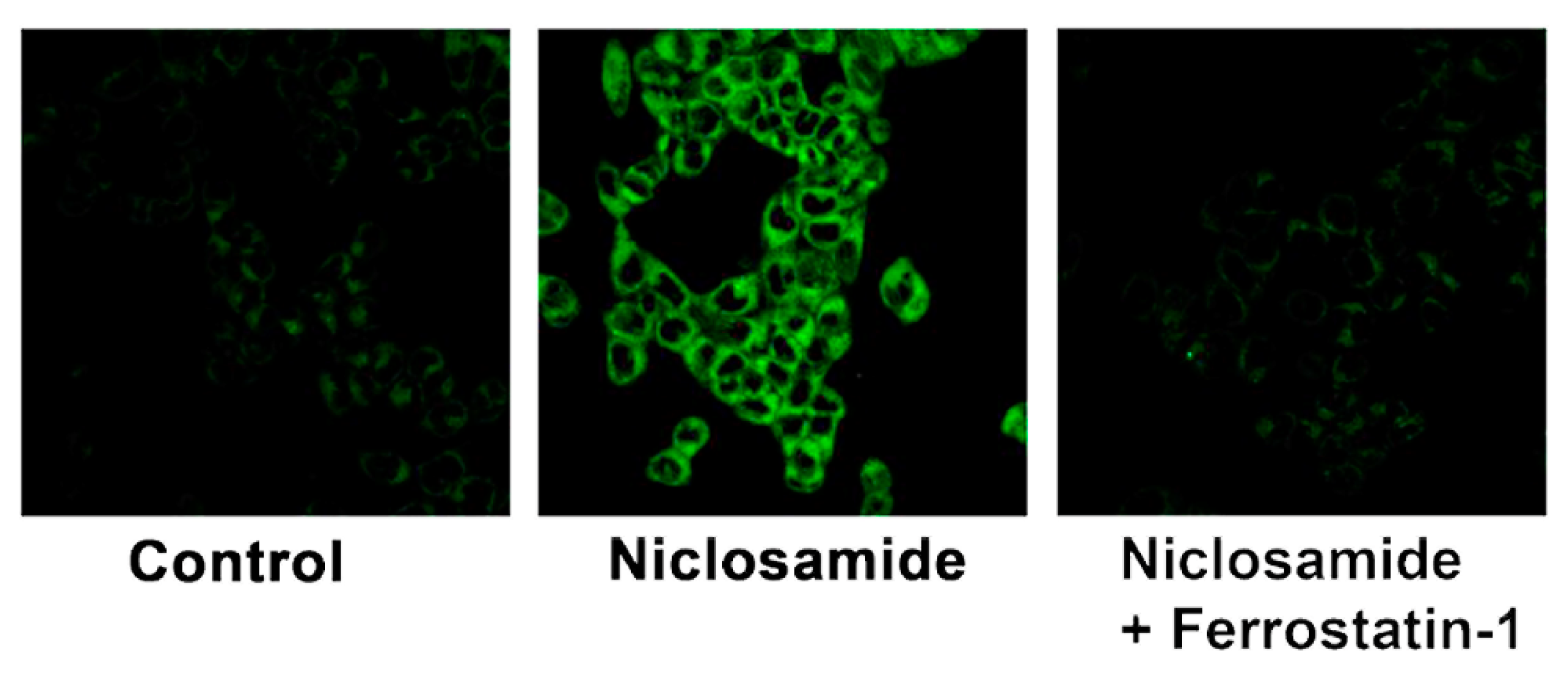 Preprints 102770 g012