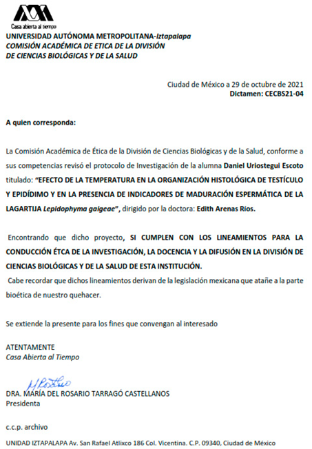 Preprints 155602 i001