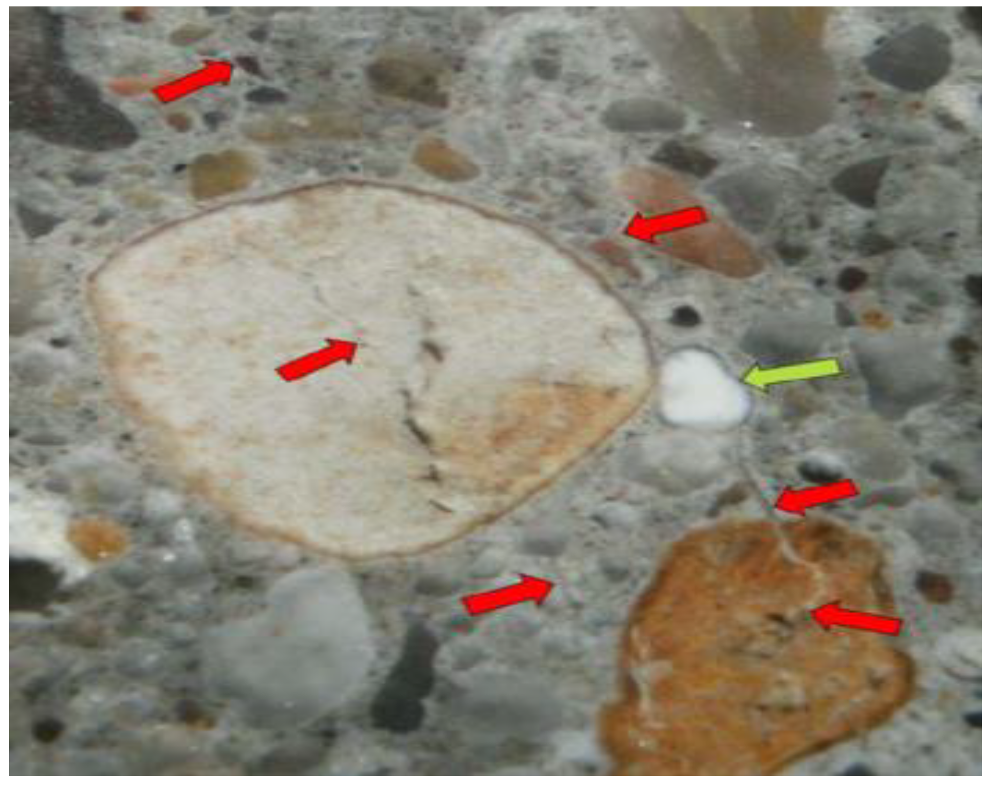 Preprints 68587 g003