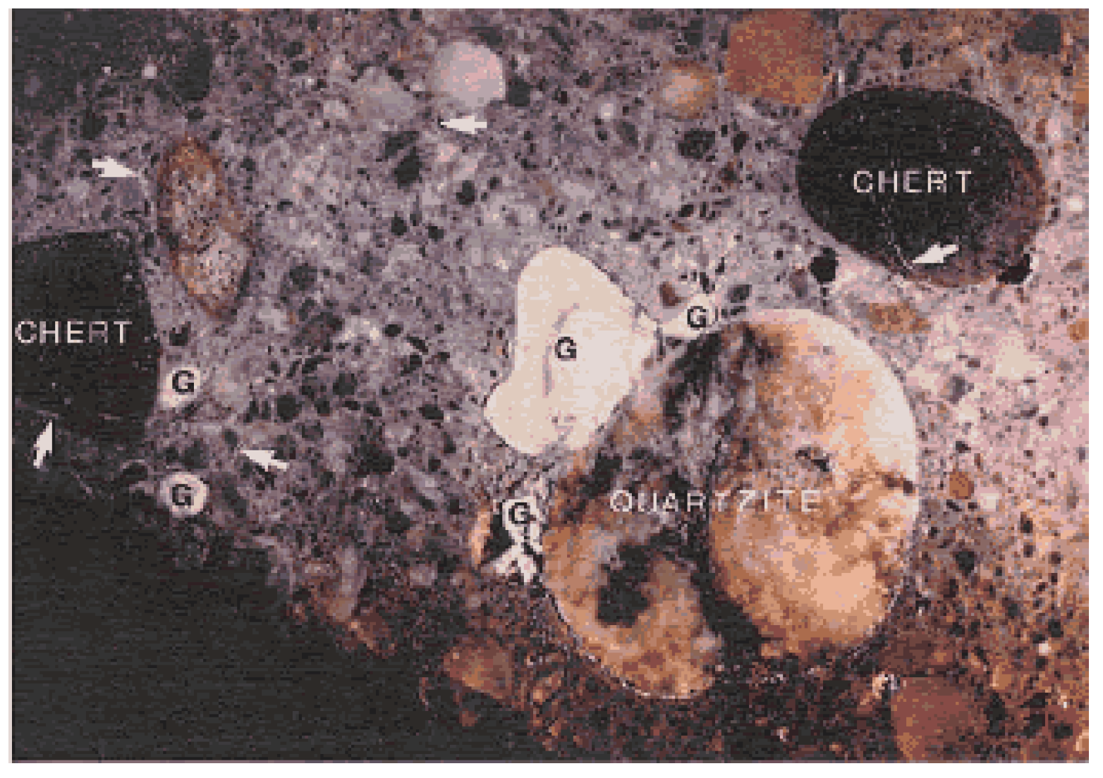 Preprints 68587 g004