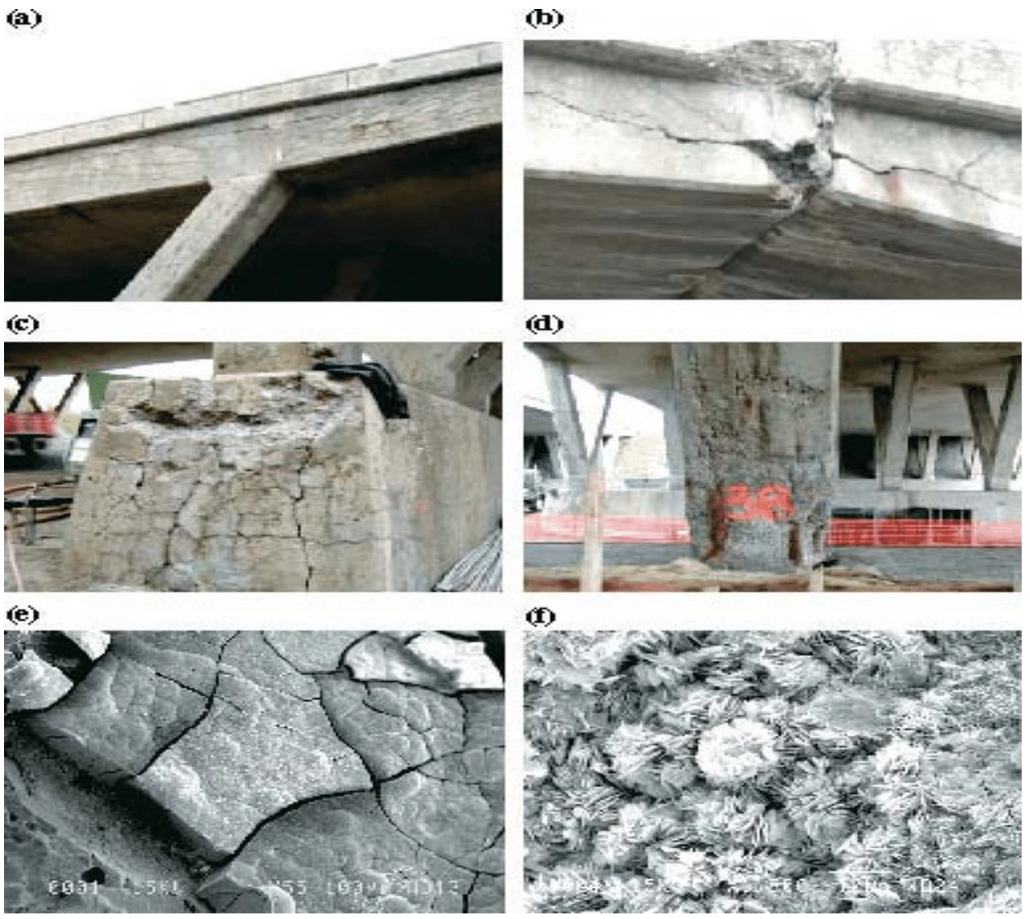 Preprints 68587 g005