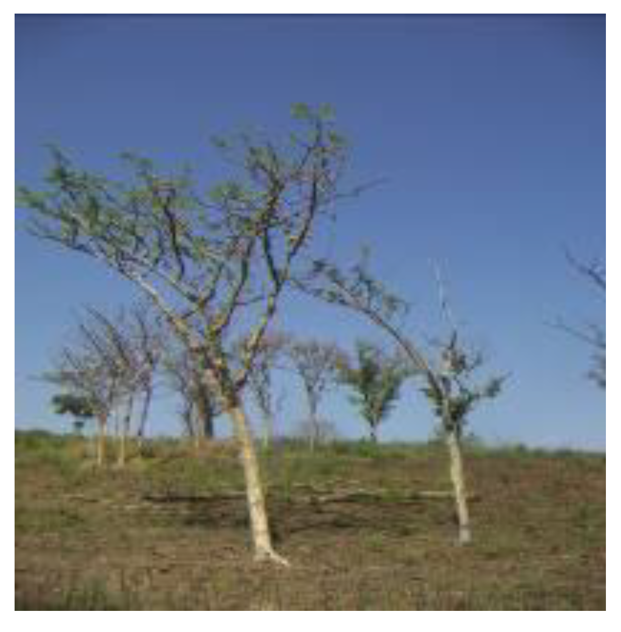 Preprints 95515 g003a