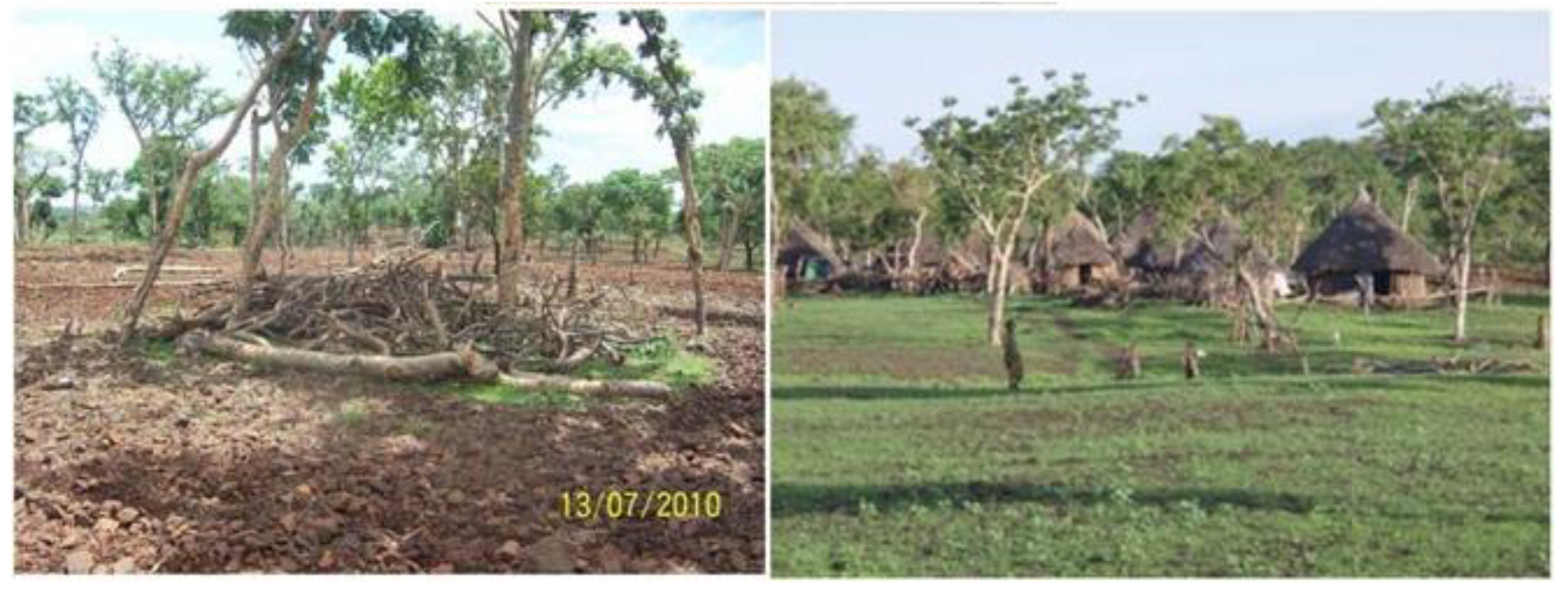 Preprints 95515 g003b