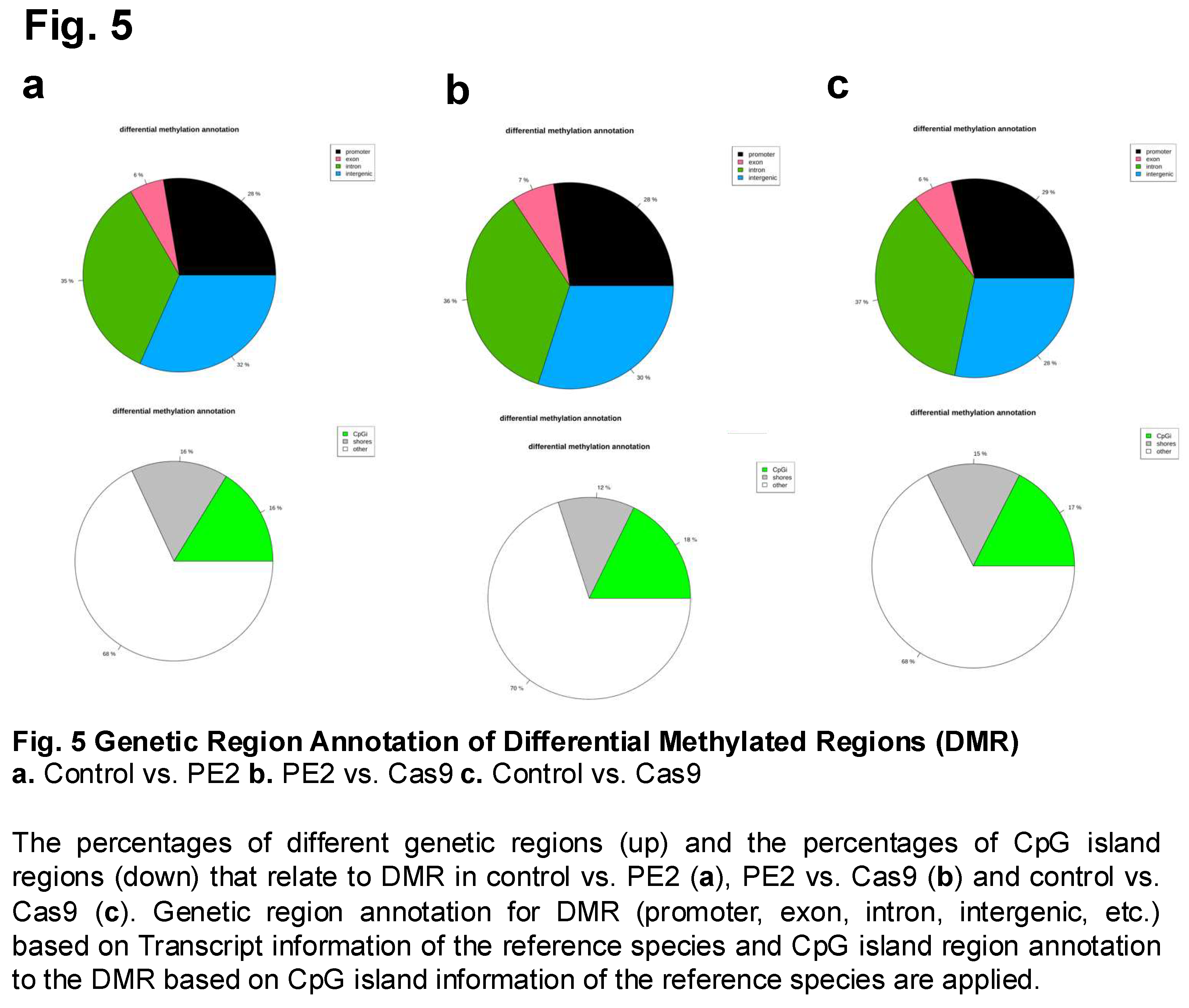 Preprints 156241 i005