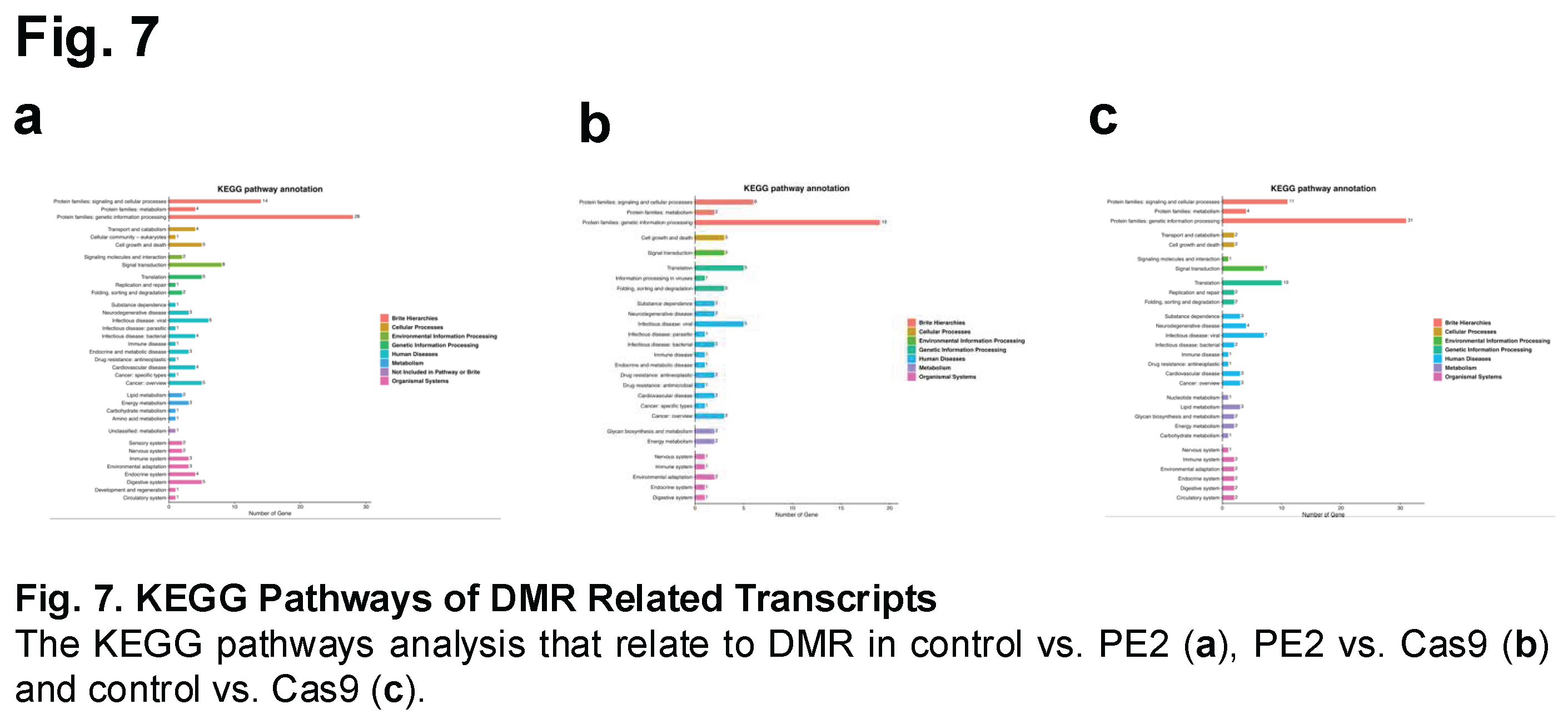 Preprints 156241 i007