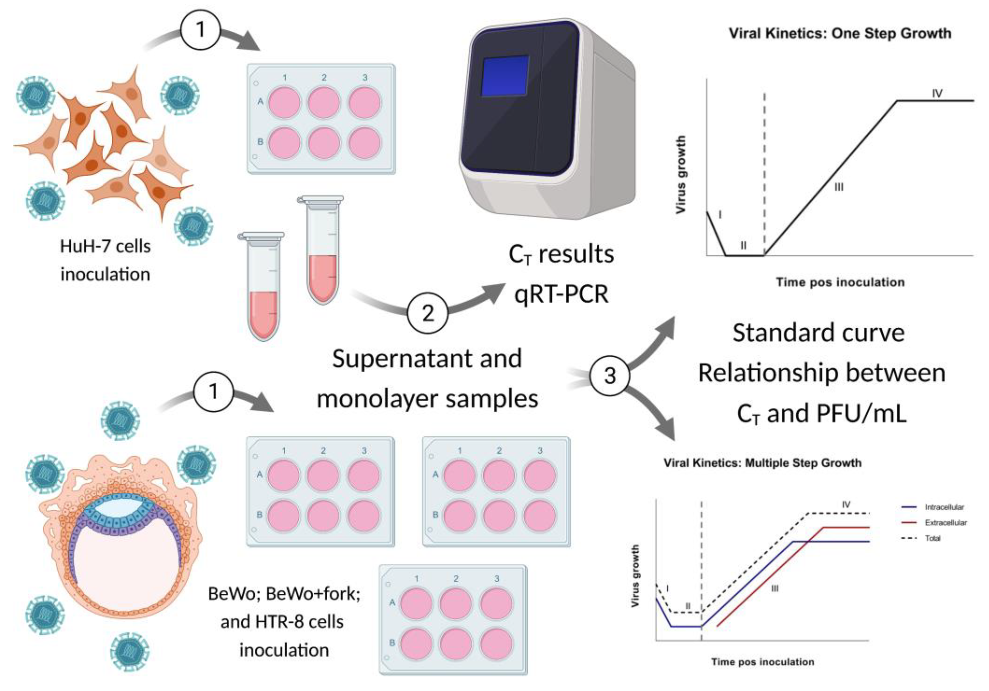 Preprints 73911 g001