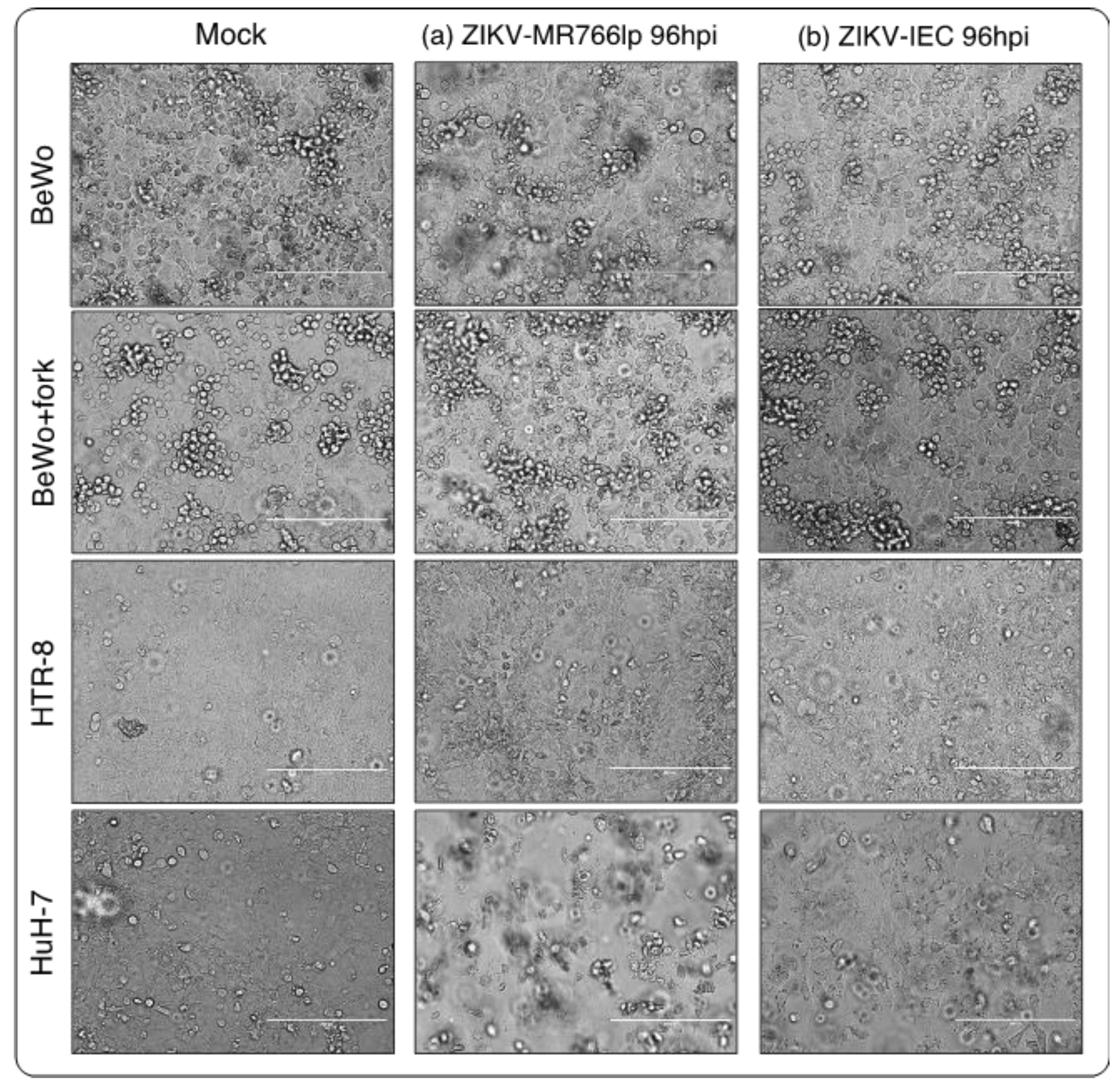 Preprints 73911 g002