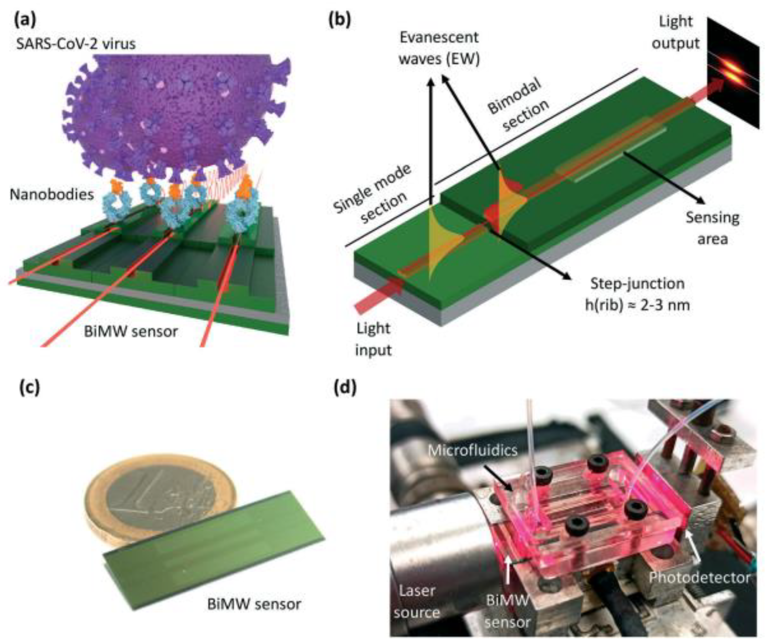 Preprints 98348 g007
