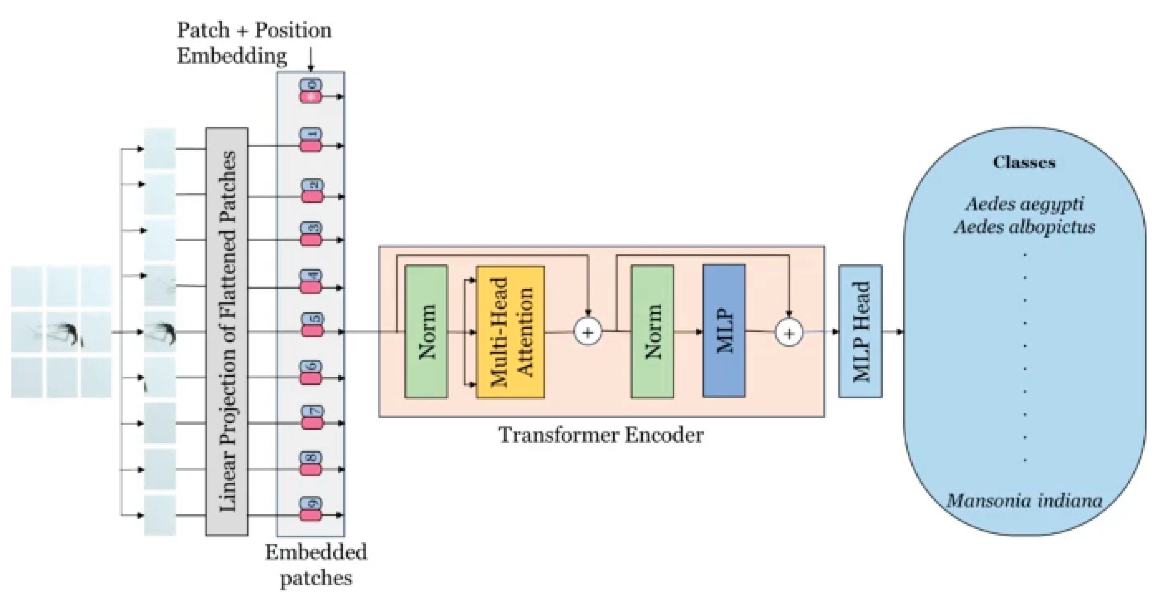 Preprints 176001 g002