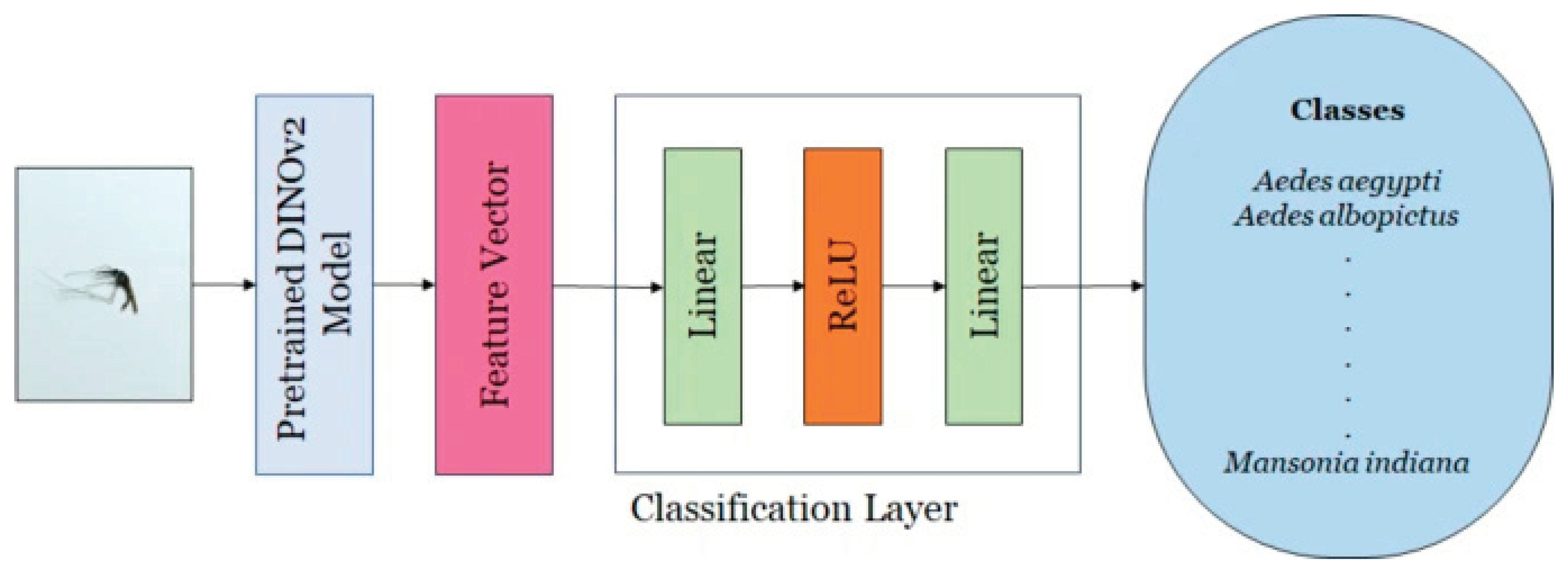 Preprints 176001 g003
