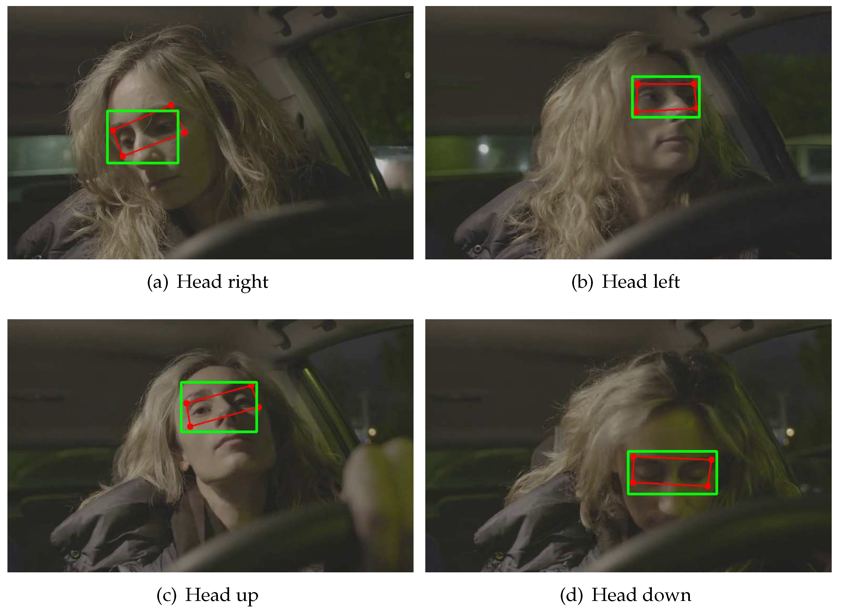 Preprints 75567 g003