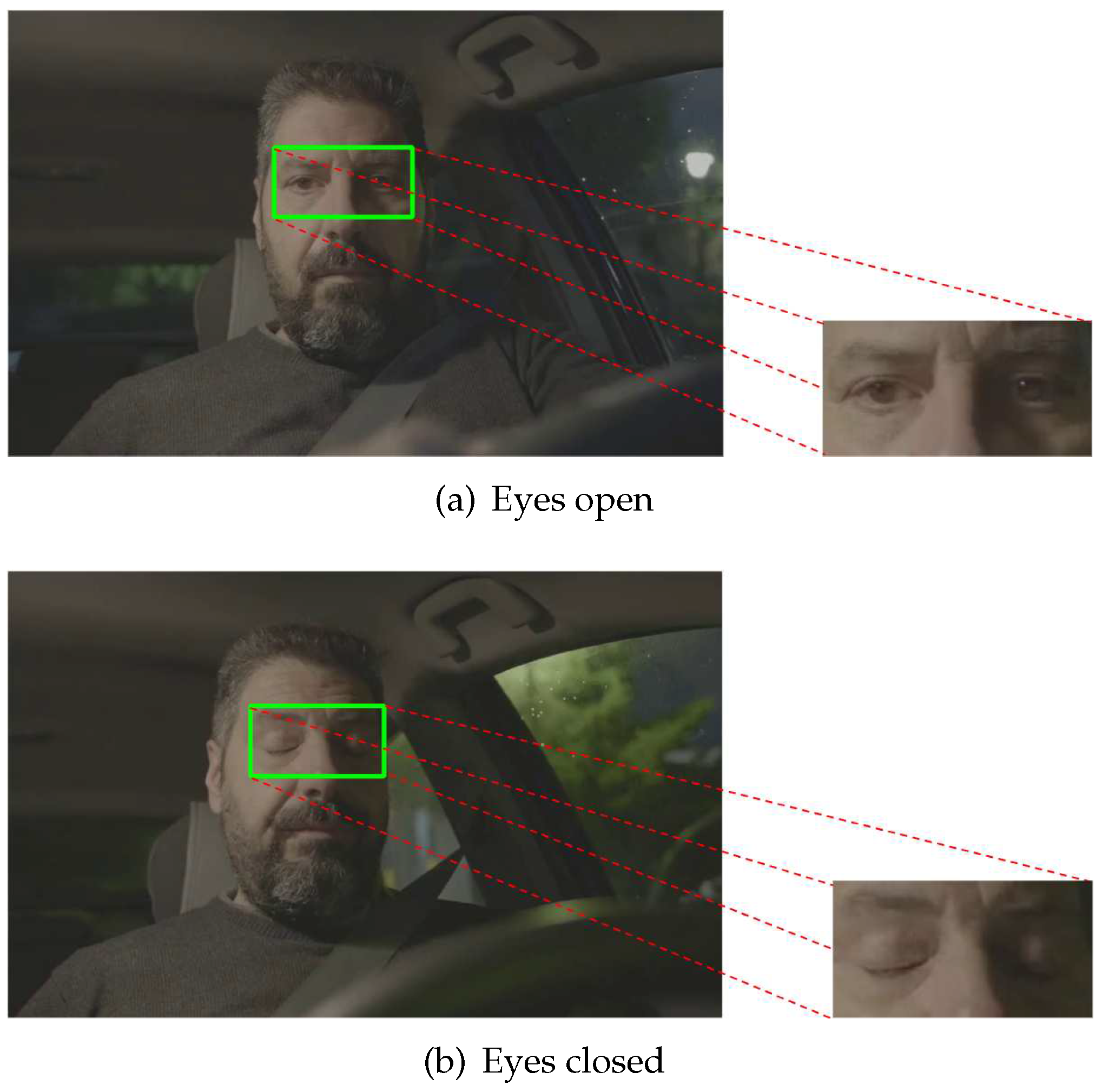 Preprints 75567 g004