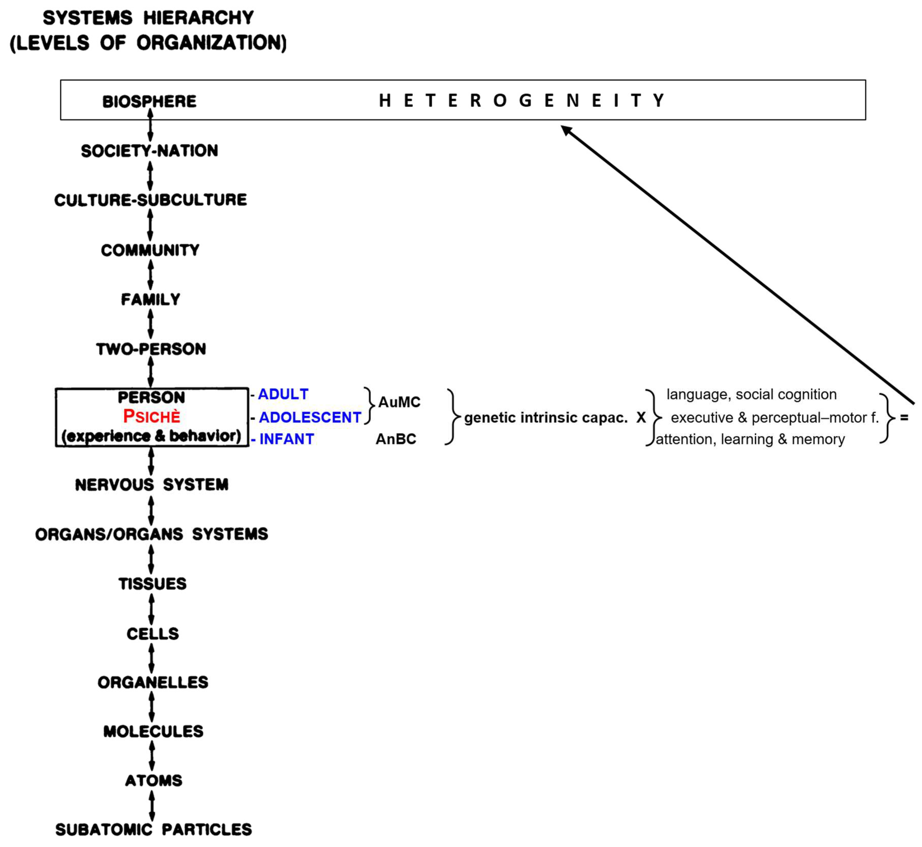Preprints 141740 g001
