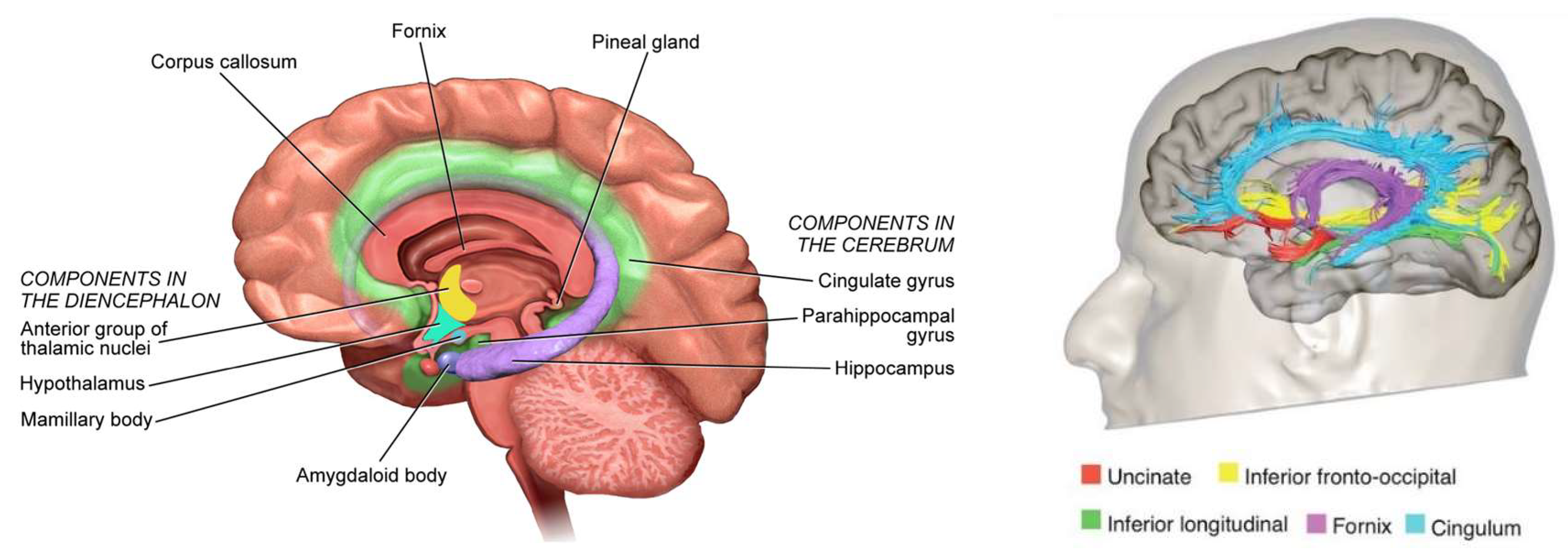 Preprints 141740 g004