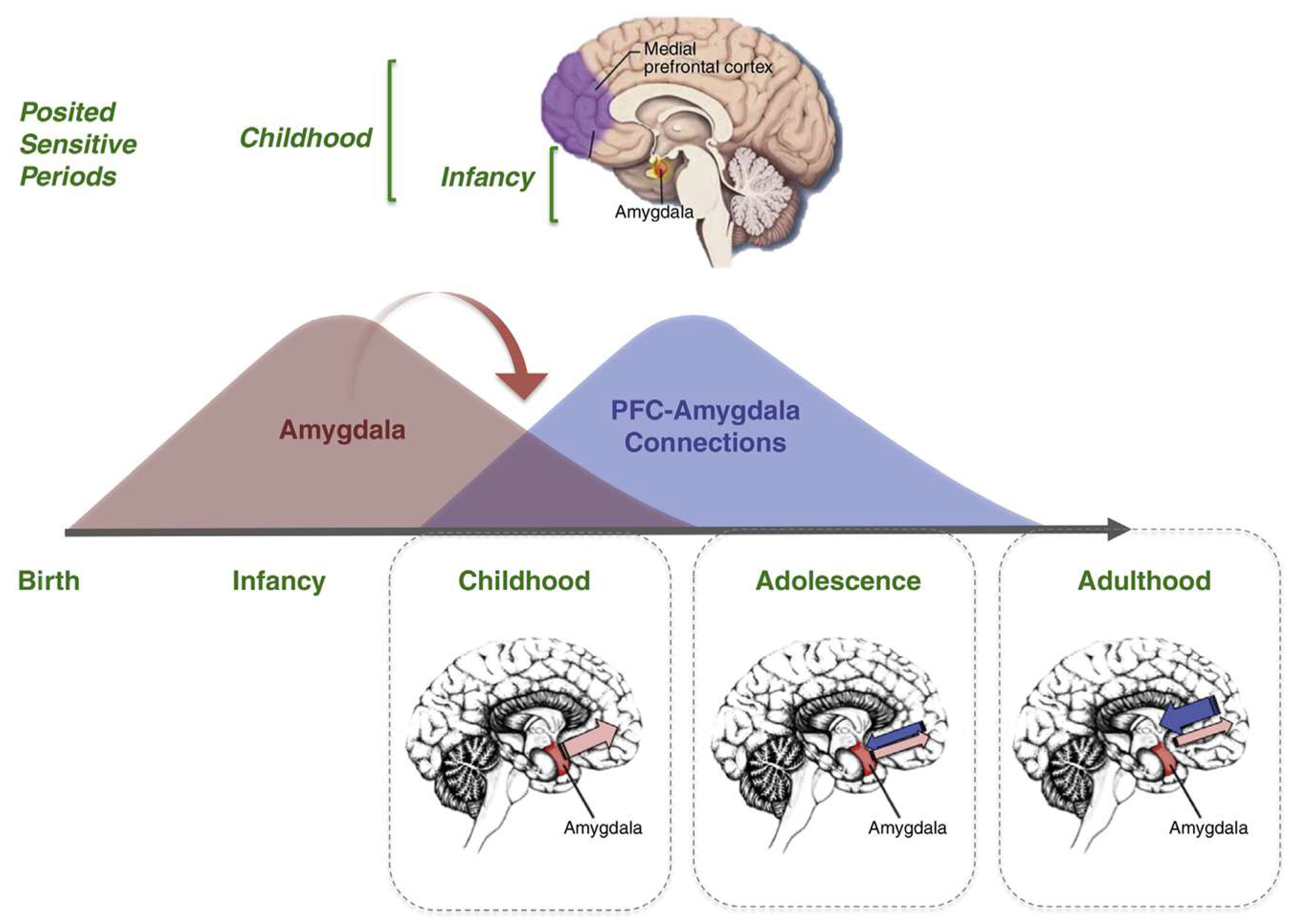 Preprints 141740 g006