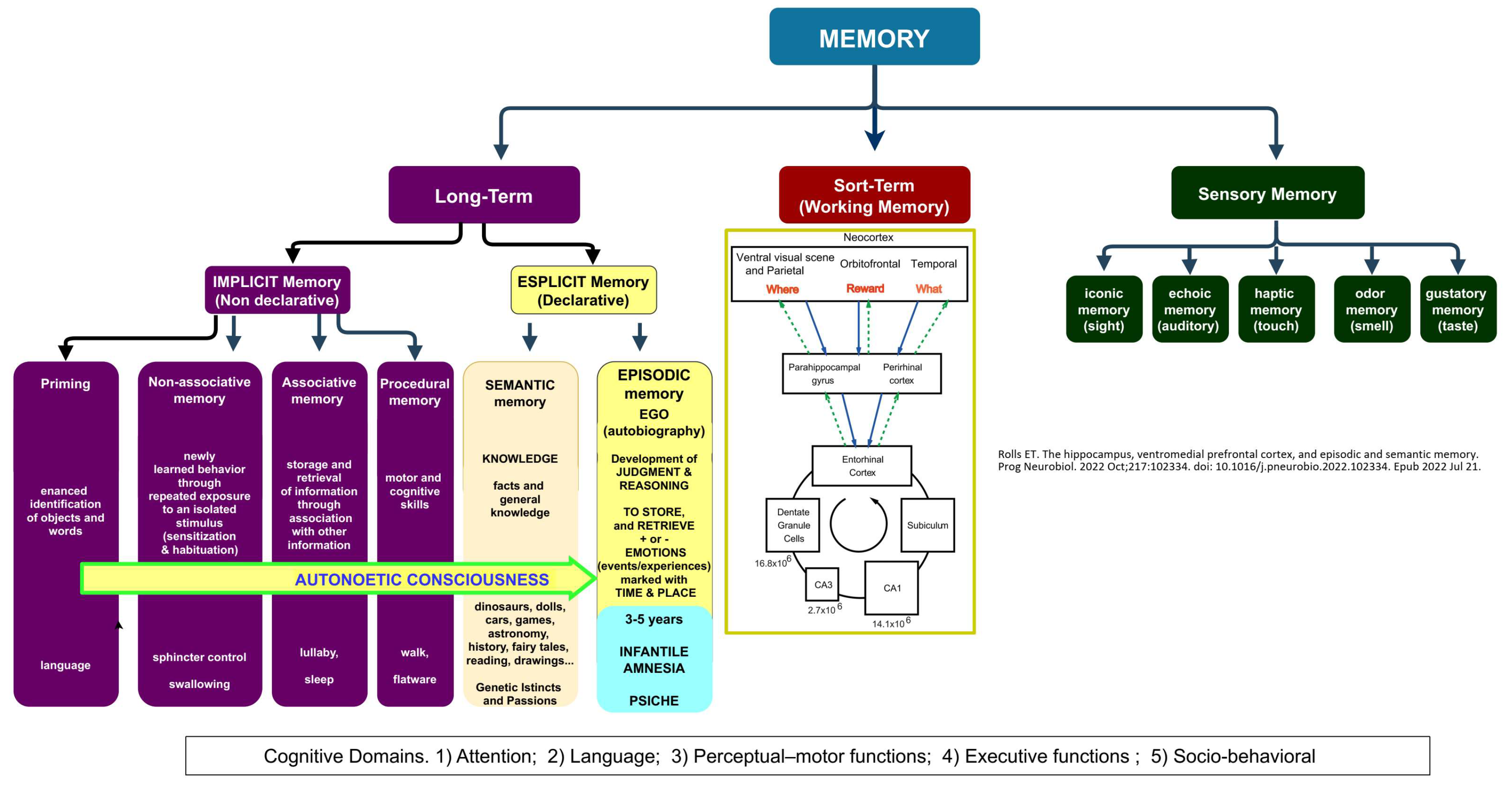 Preprints 141740 g007