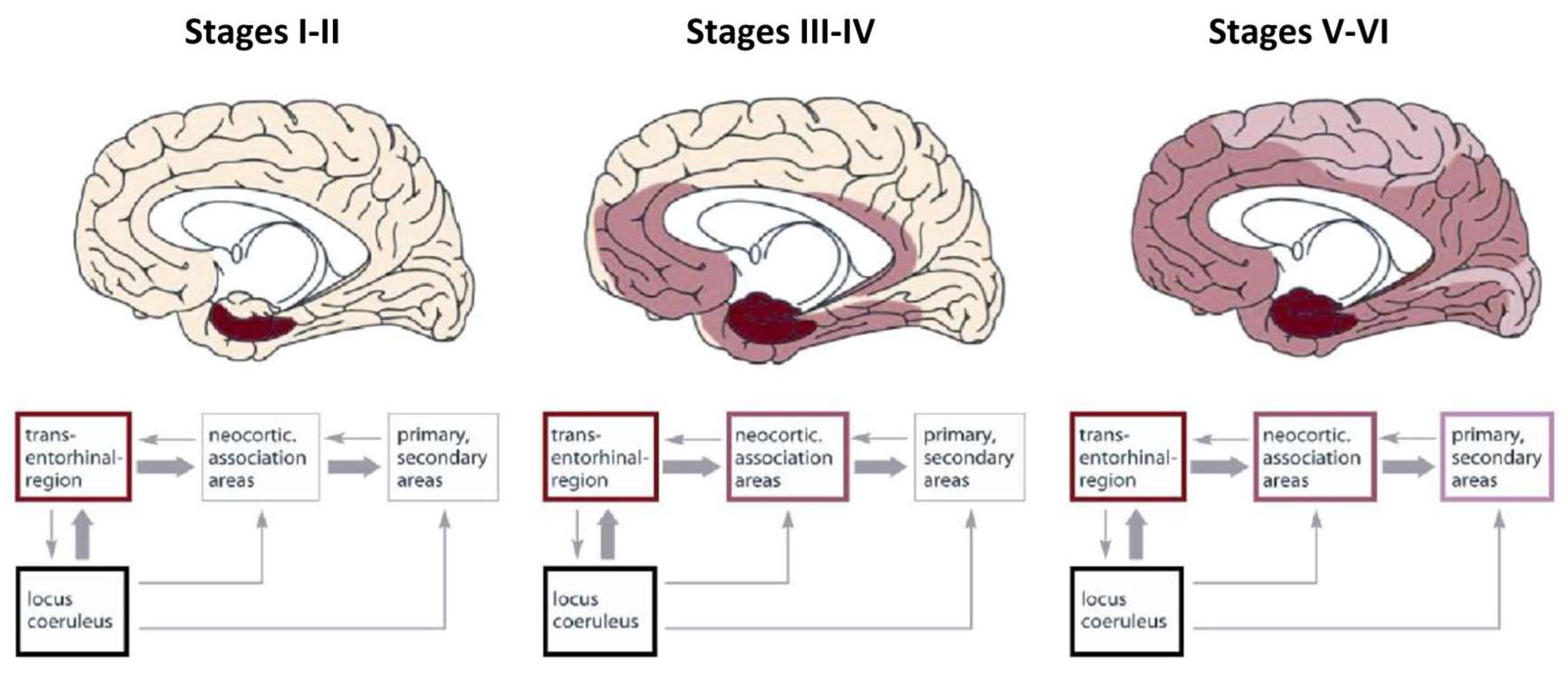 Preprints 141740 g010