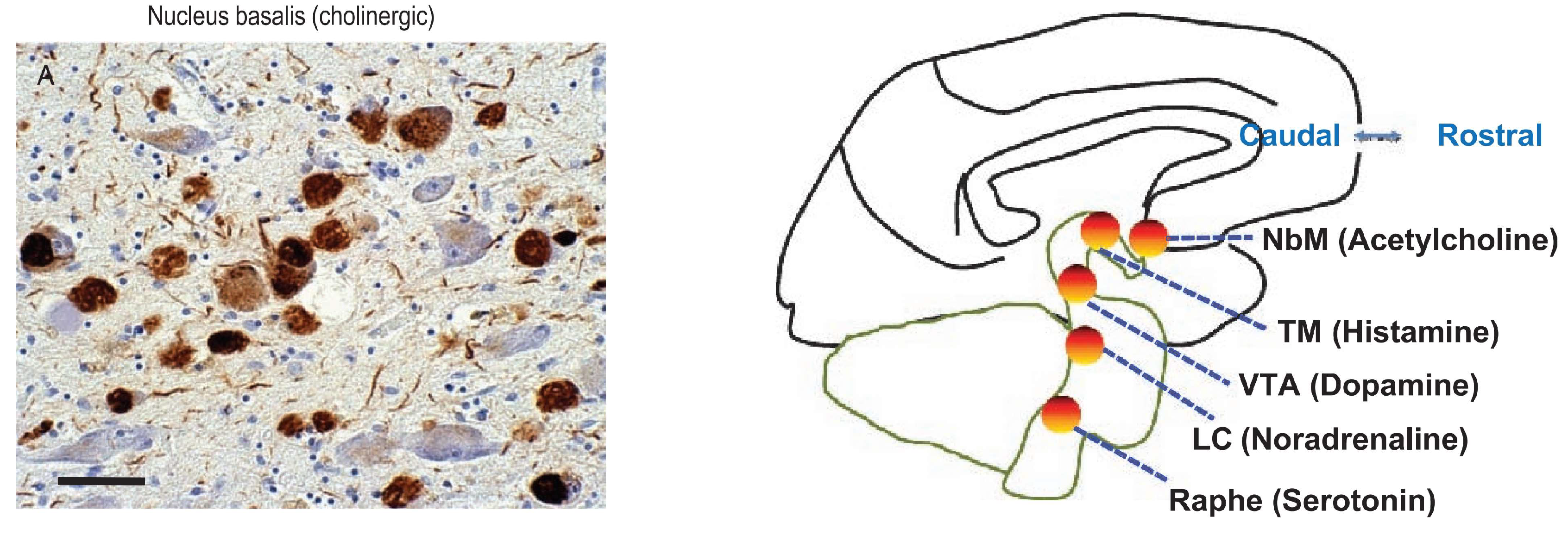 Preprints 141740 g013