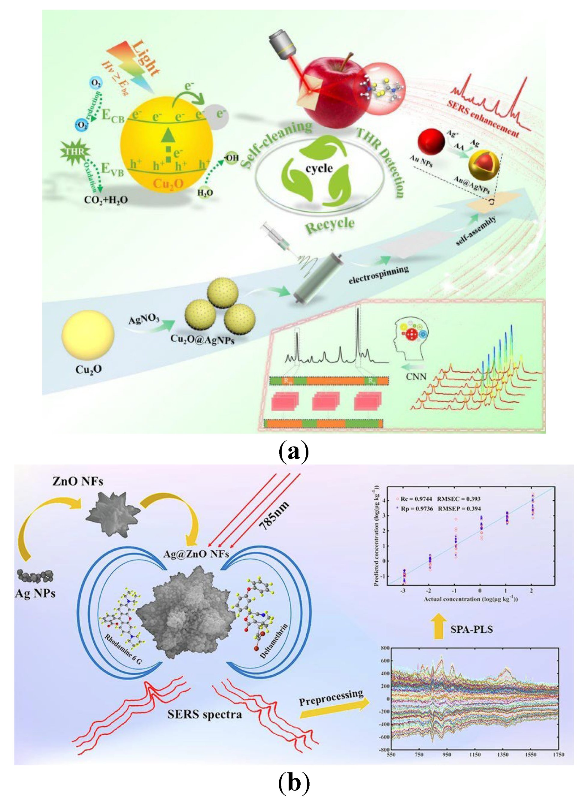 Preprints 177398 g001