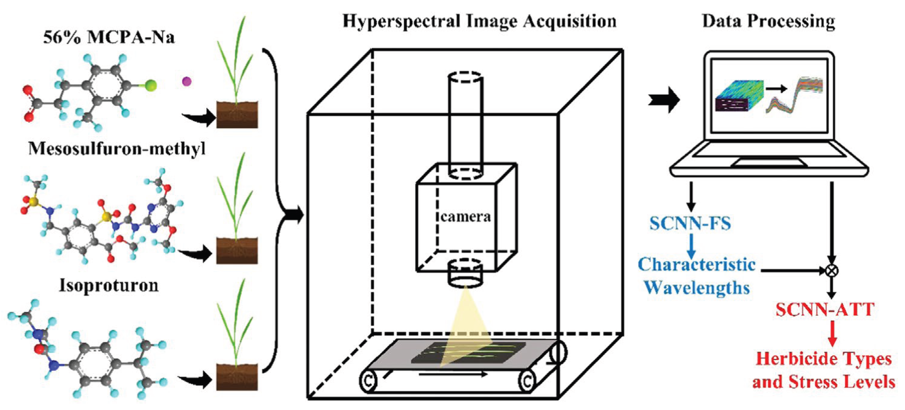 Preprints 177398 g005