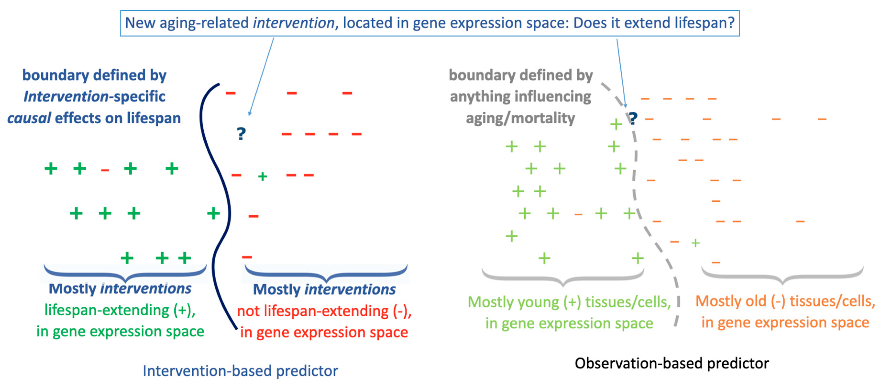 Preprints 147037 g001