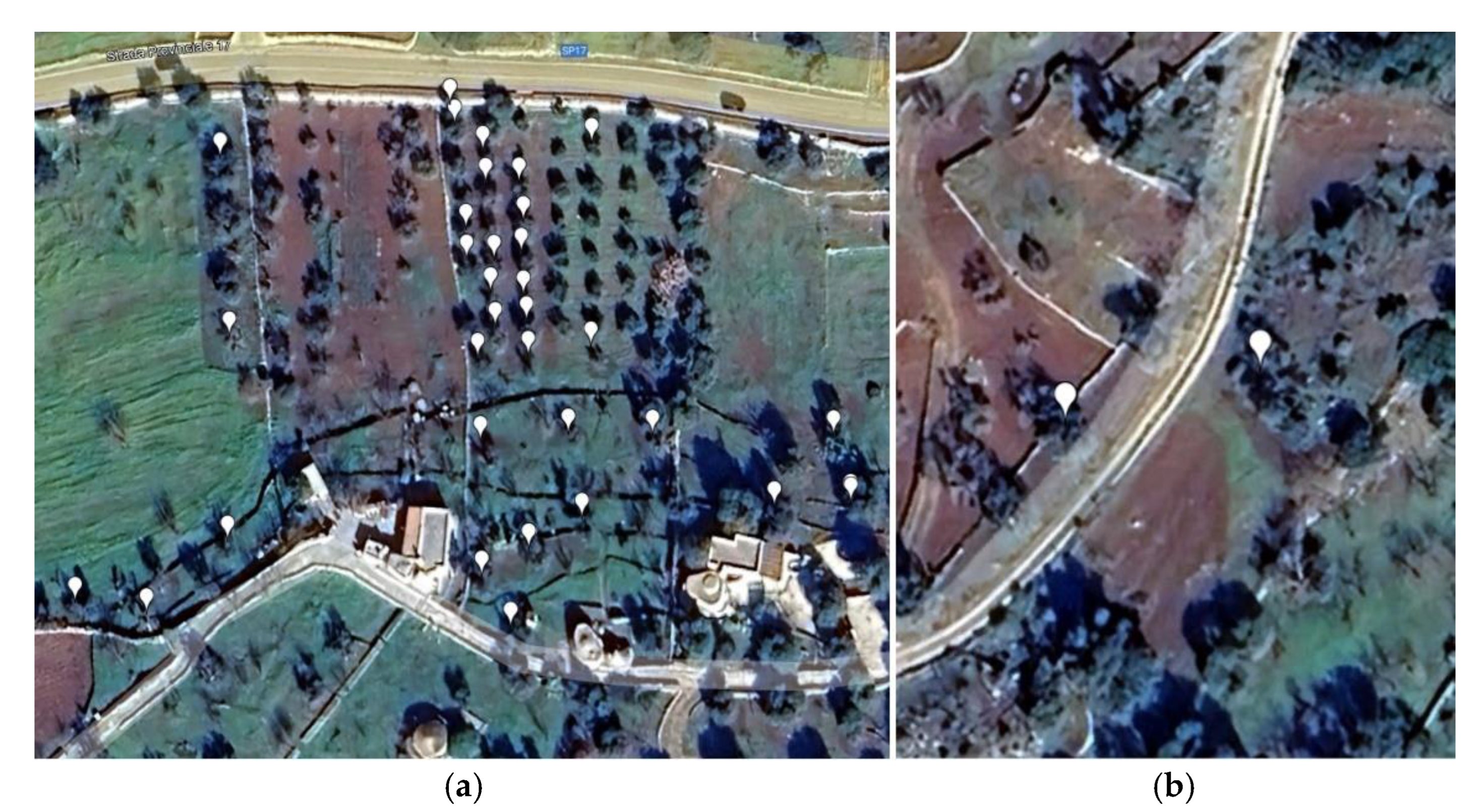 Preprints 139110 g002