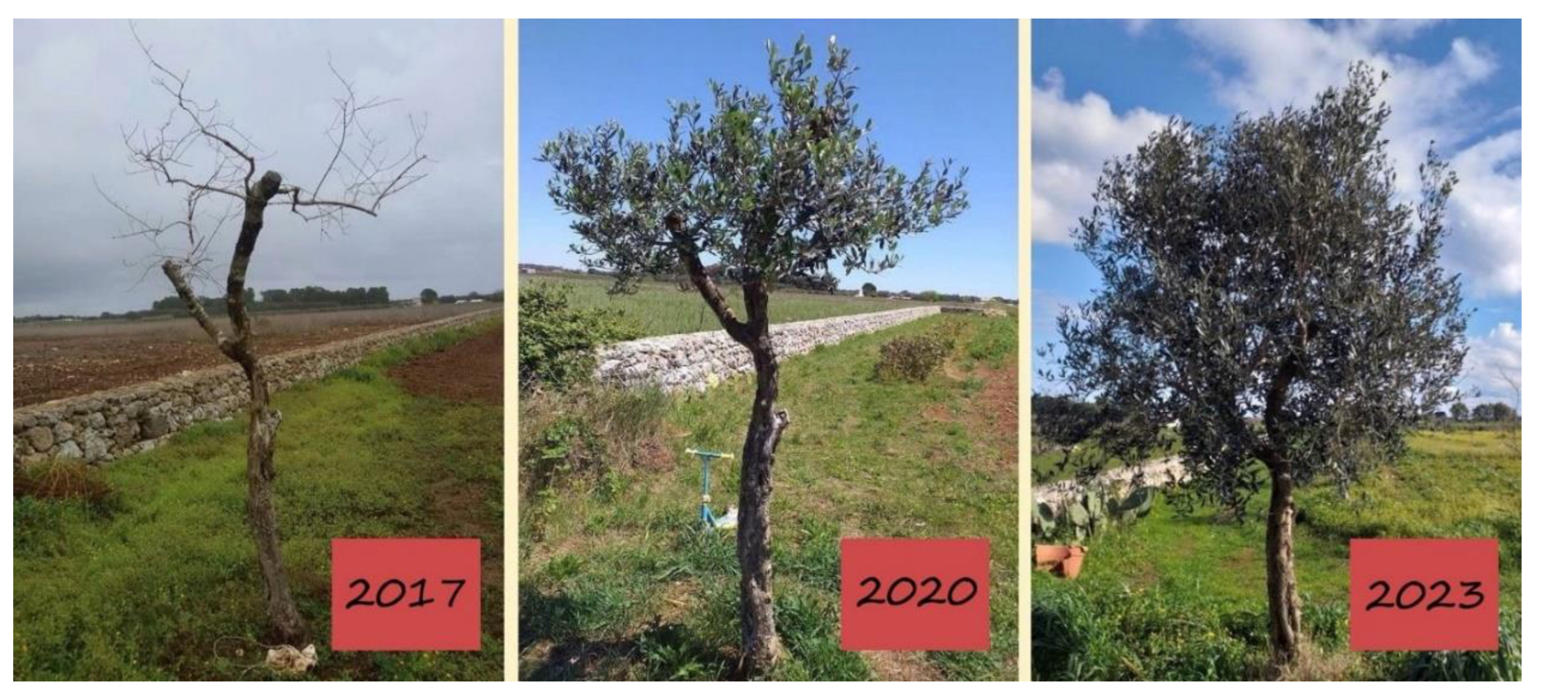 Preprints 139110 g004