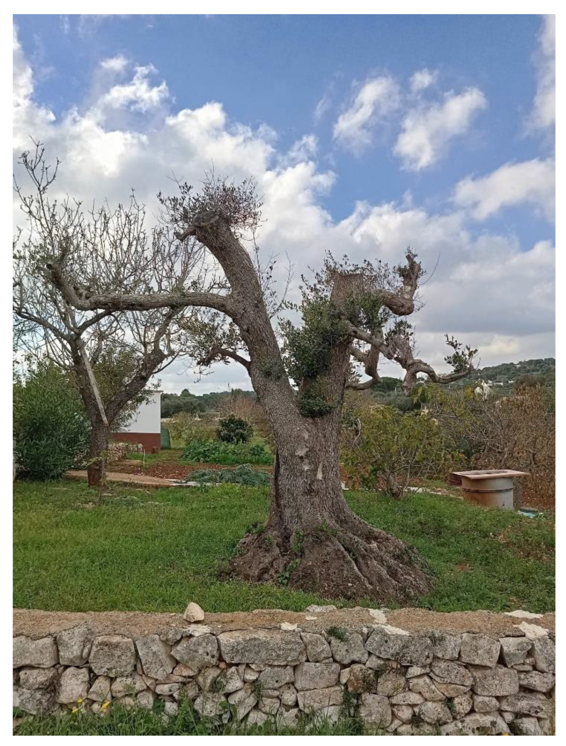 Preprints 139110 g007