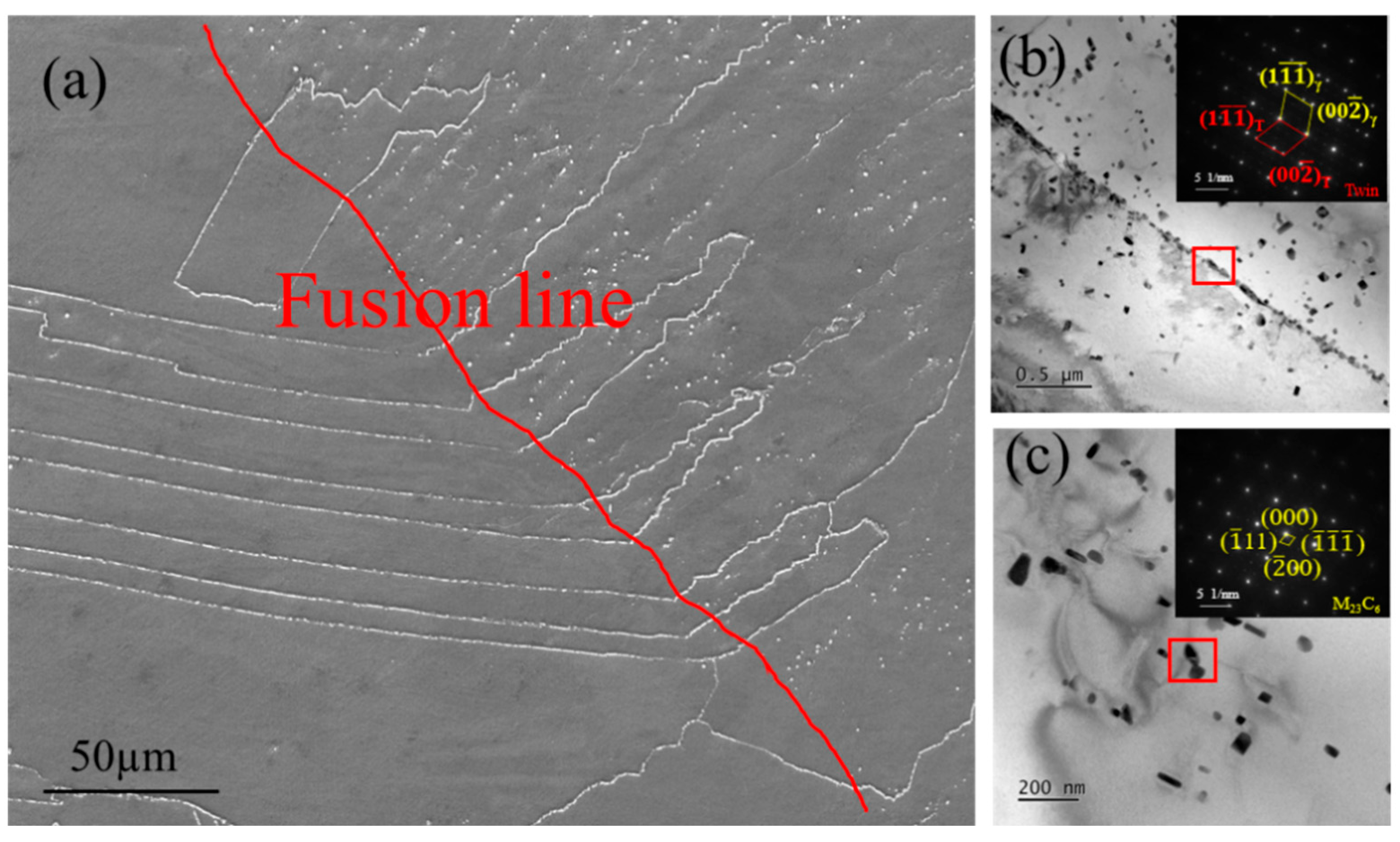 Preprints 189989 g004