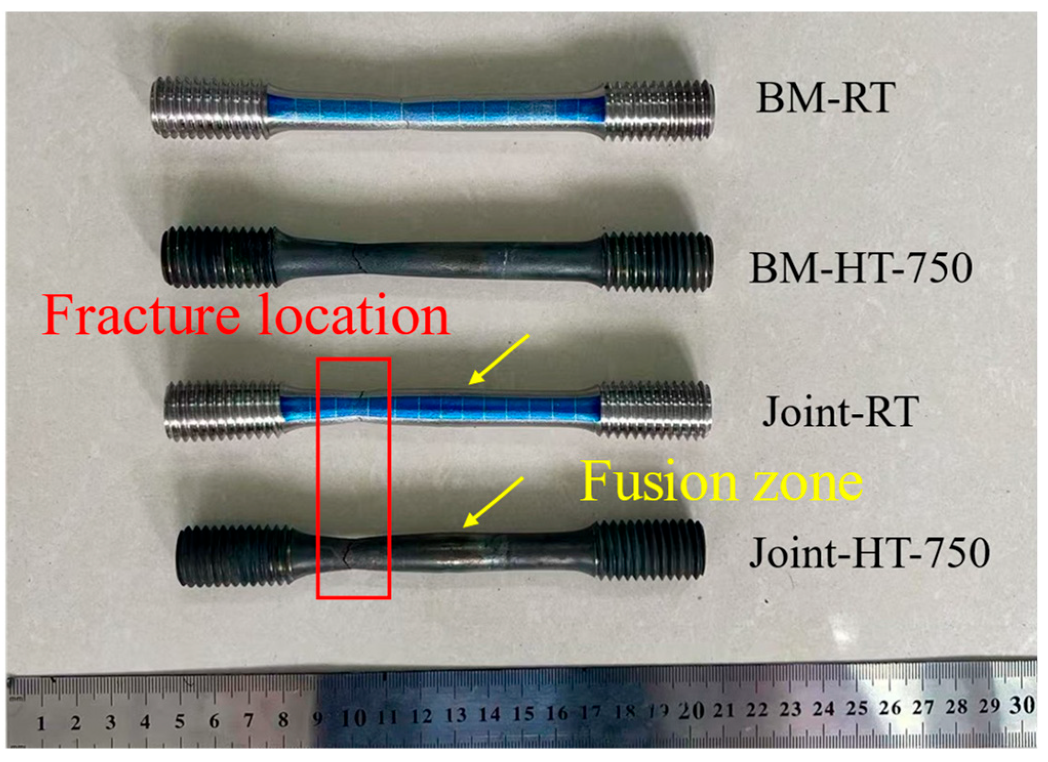 Preprints 189989 g008