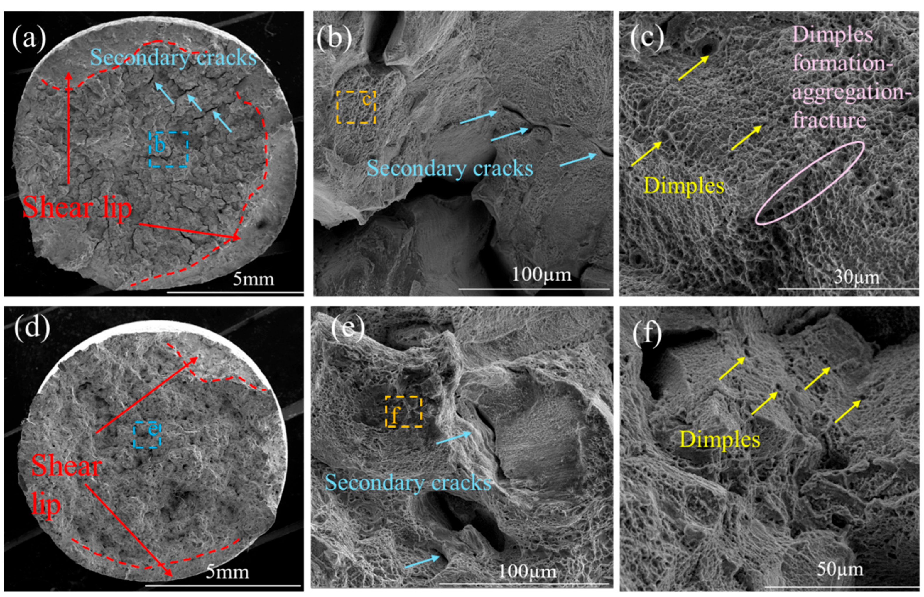 Preprints 189989 g009