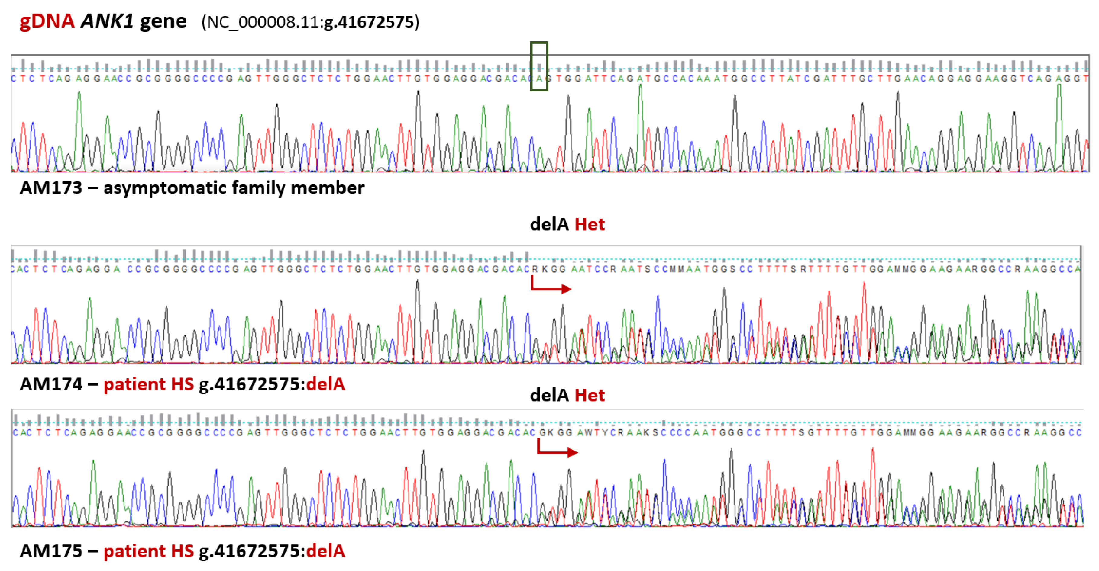 Preprints 144794 g001