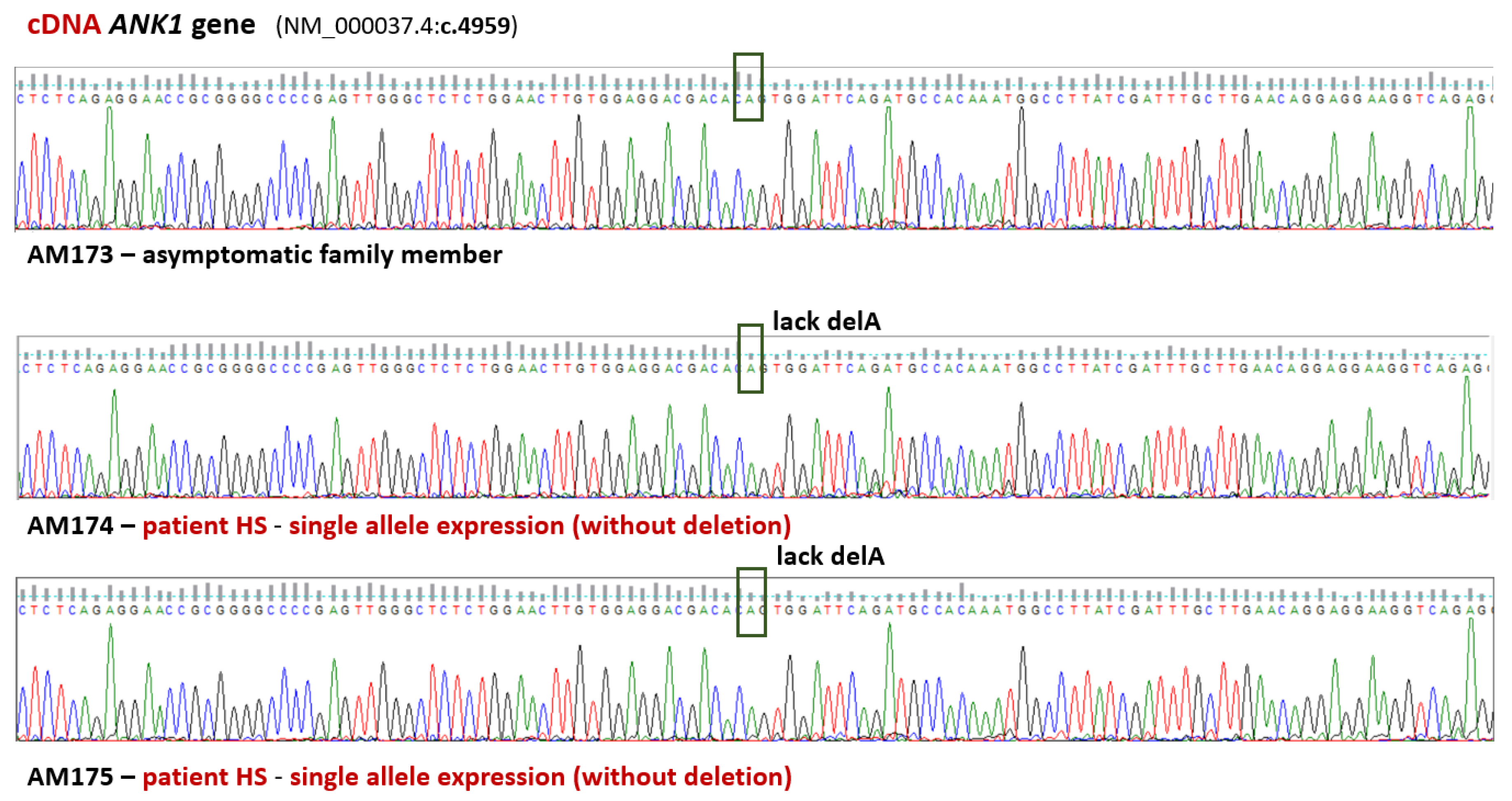 Preprints 144794 g002