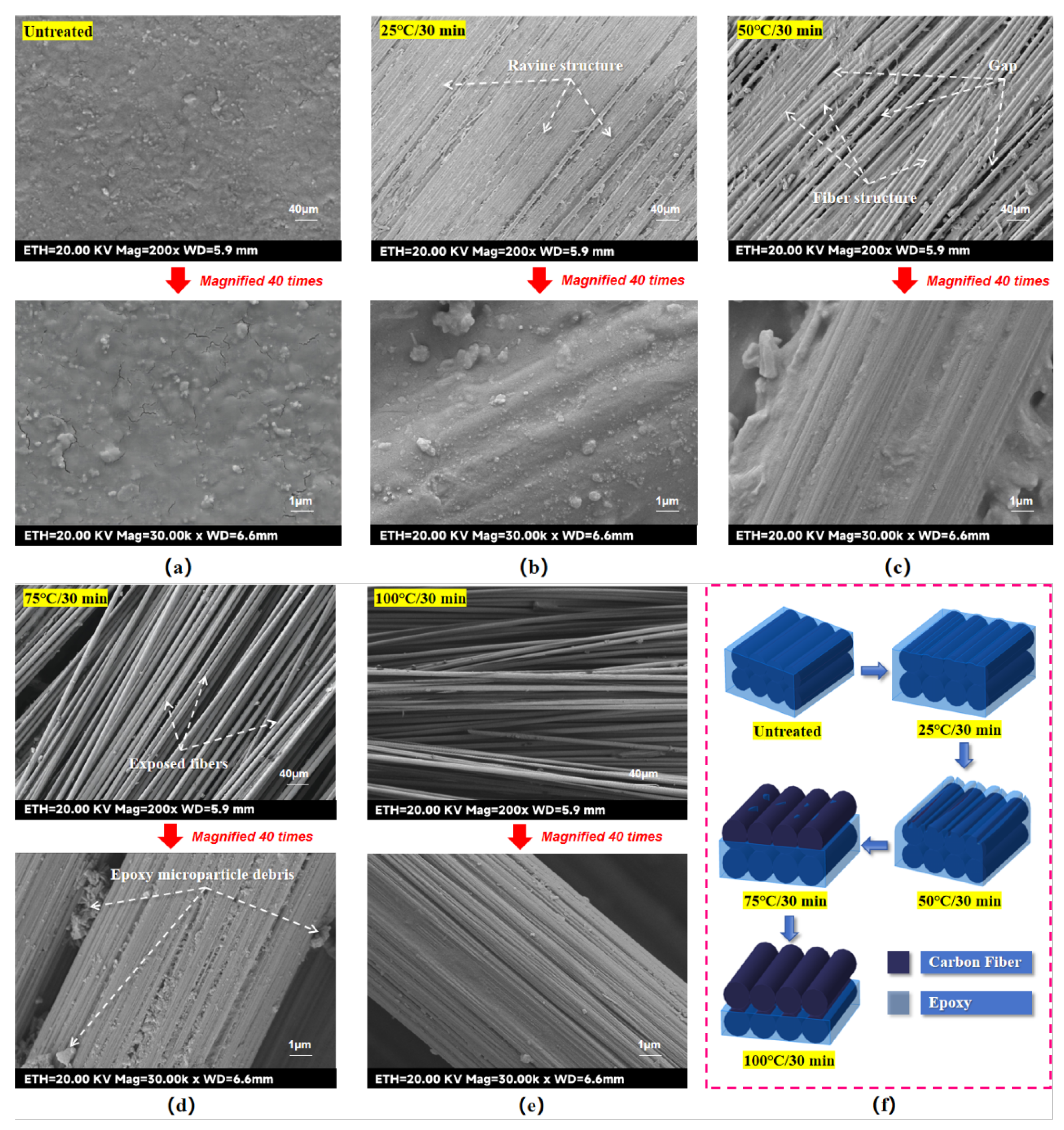 Preprints 159107 g006