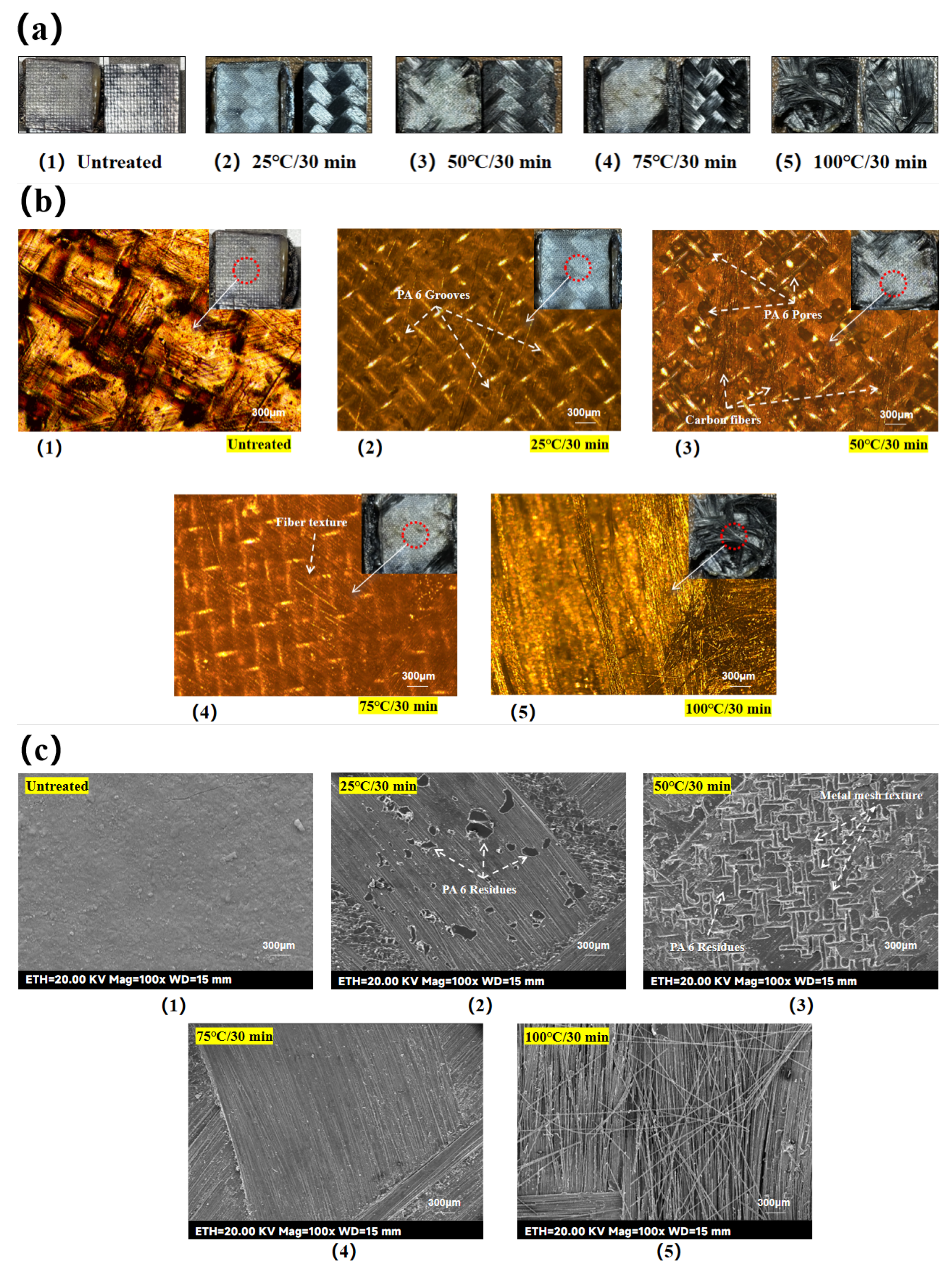 Preprints 159107 g013