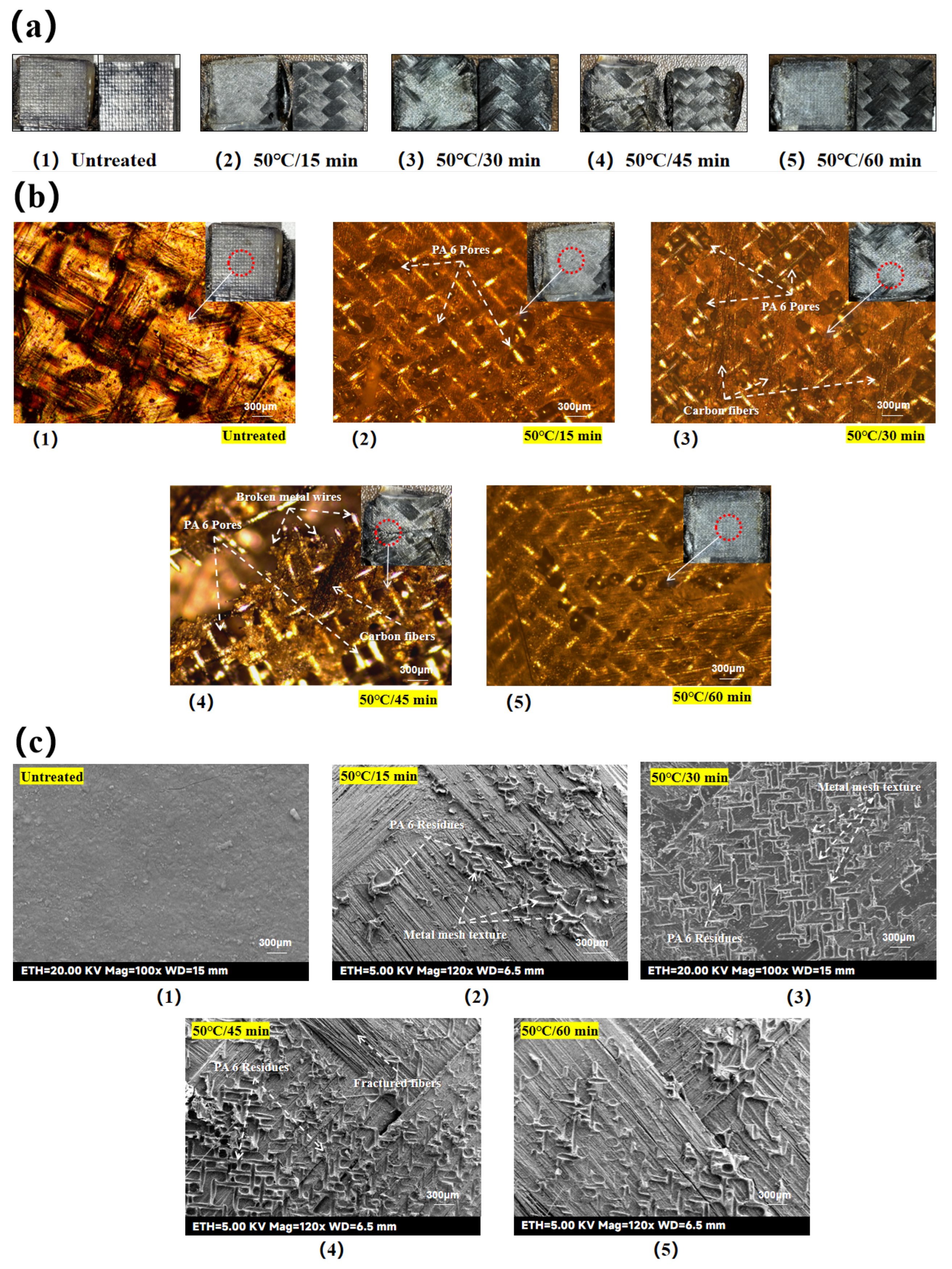 Preprints 159107 g014
