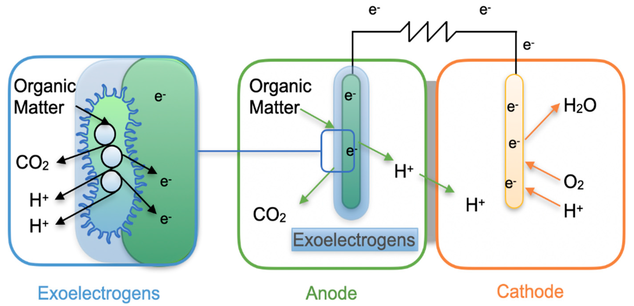 Preprints 181132 g002