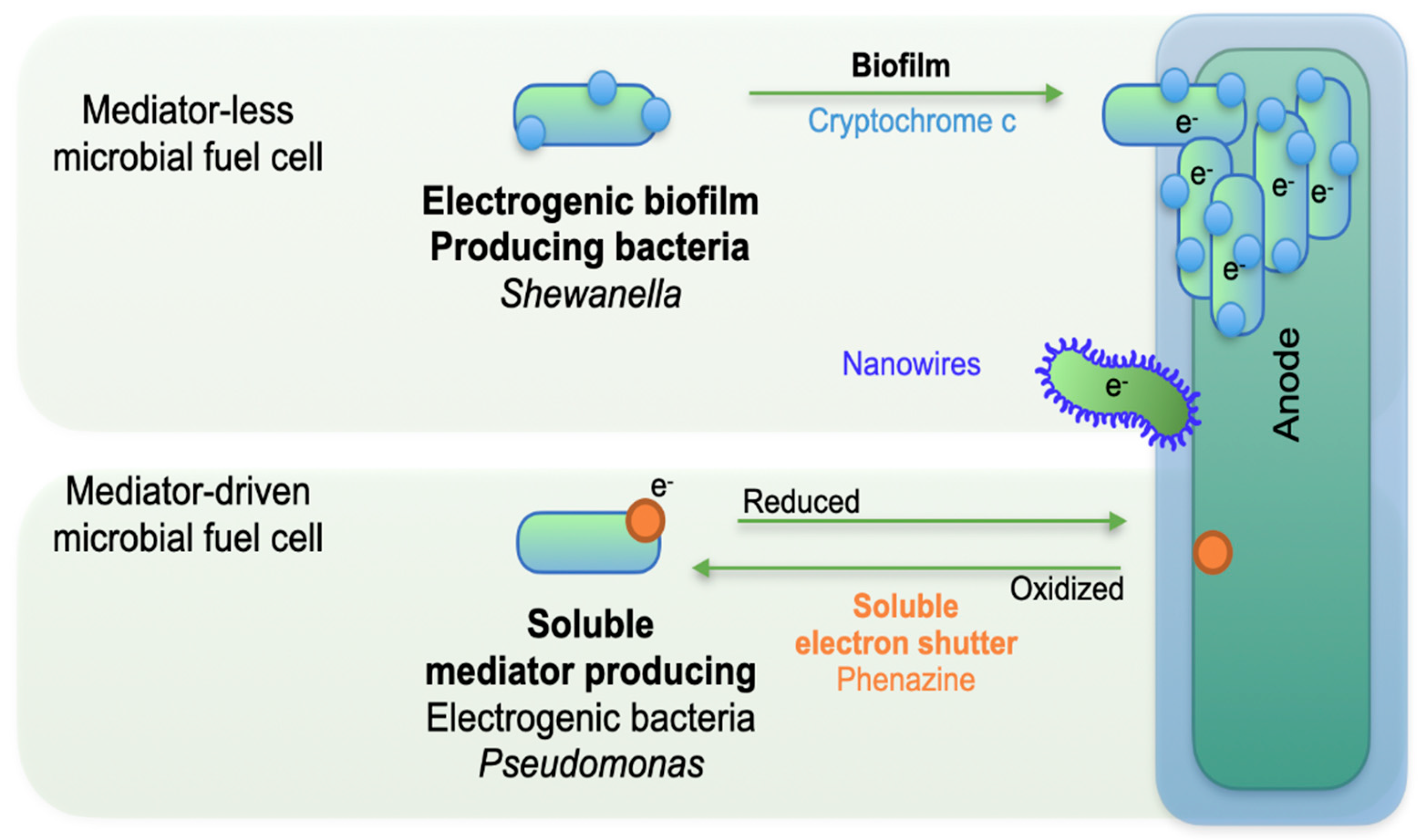 Preprints 181132 g003